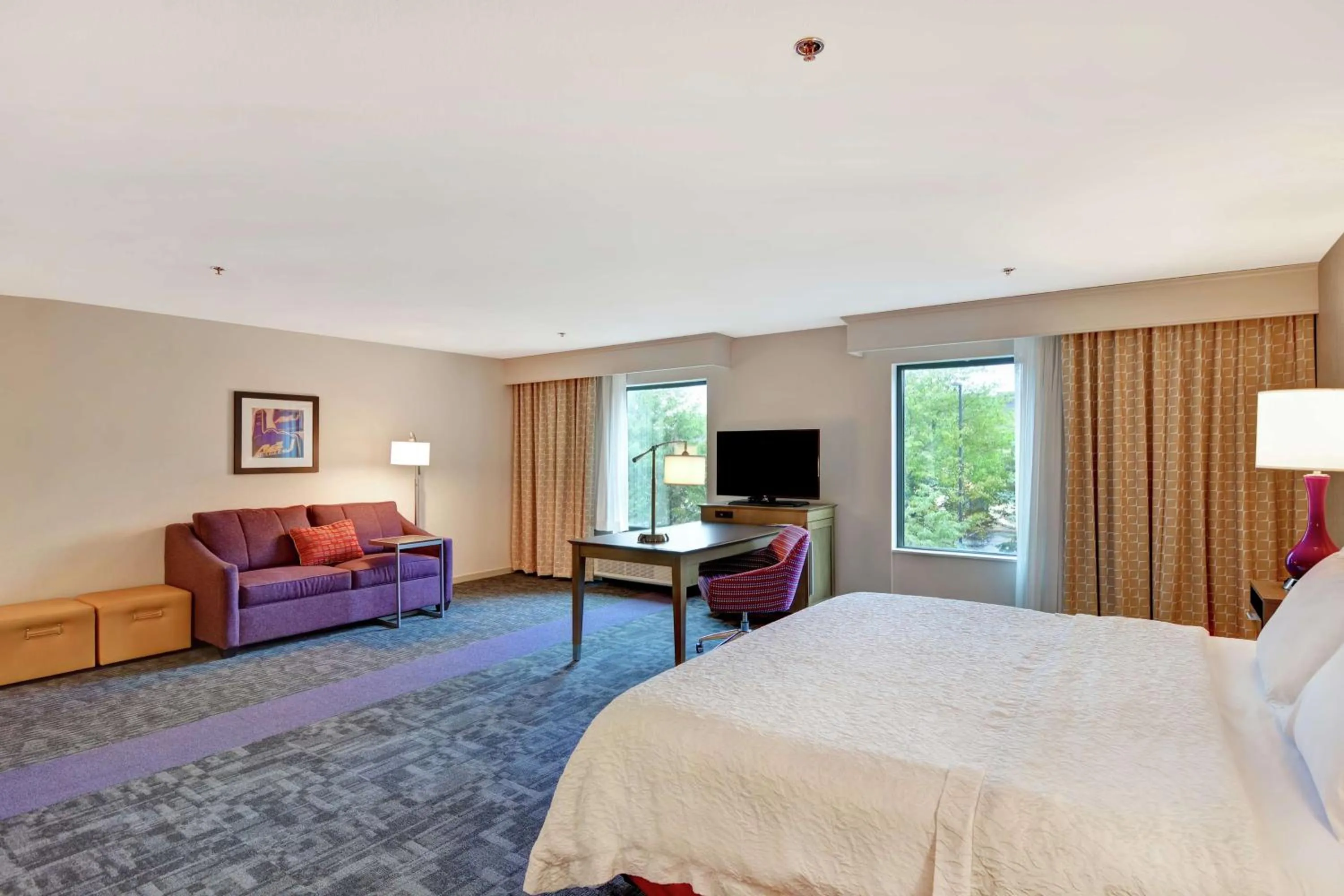 King Studio Suite with Sofa Bed - Hearing Access/Non-Smoking in Hampton Inn Suites Ashland, Ohio
