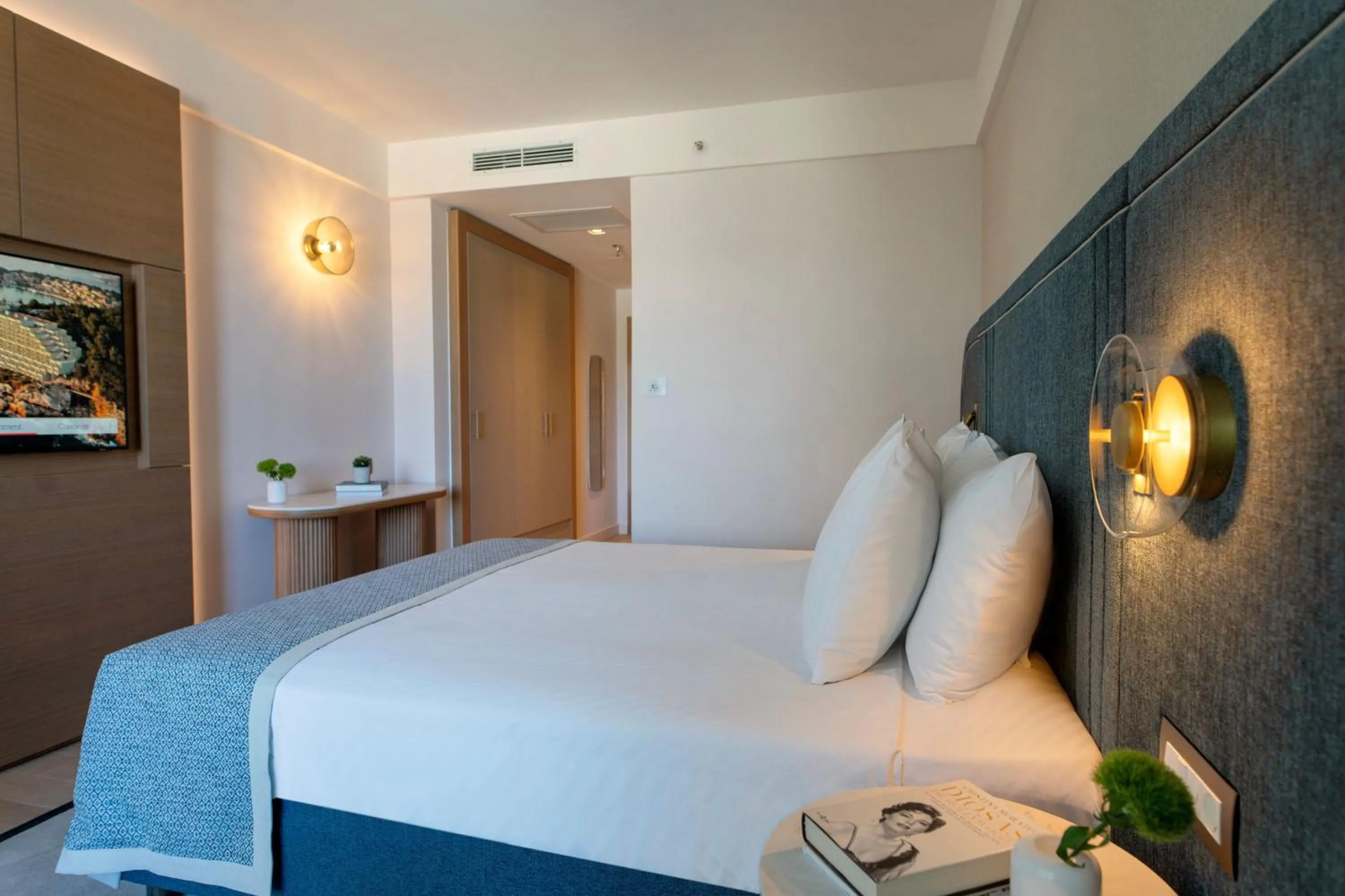 Basic Room in Hotel Croatia