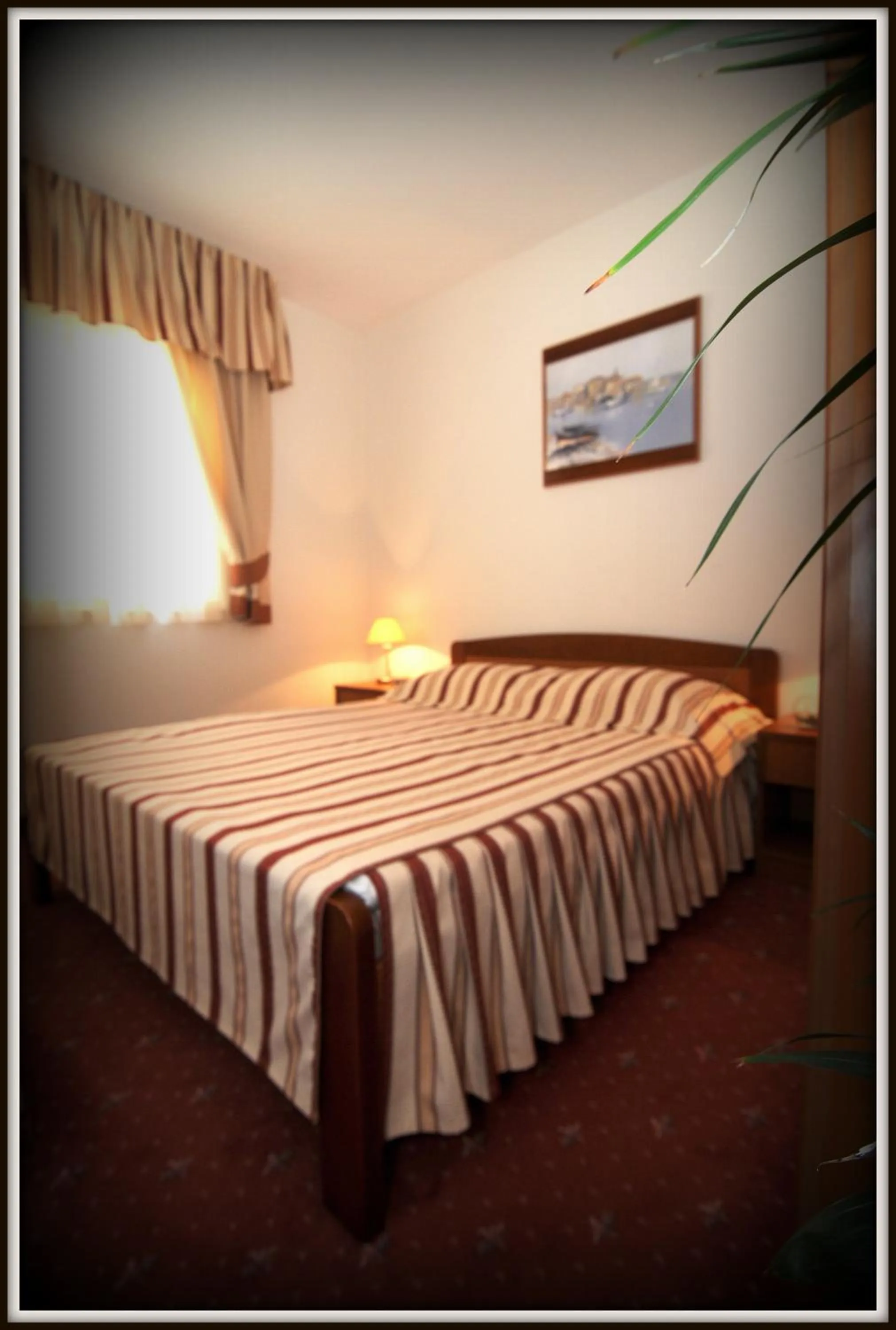Classic Double Room in Hotel Rosina