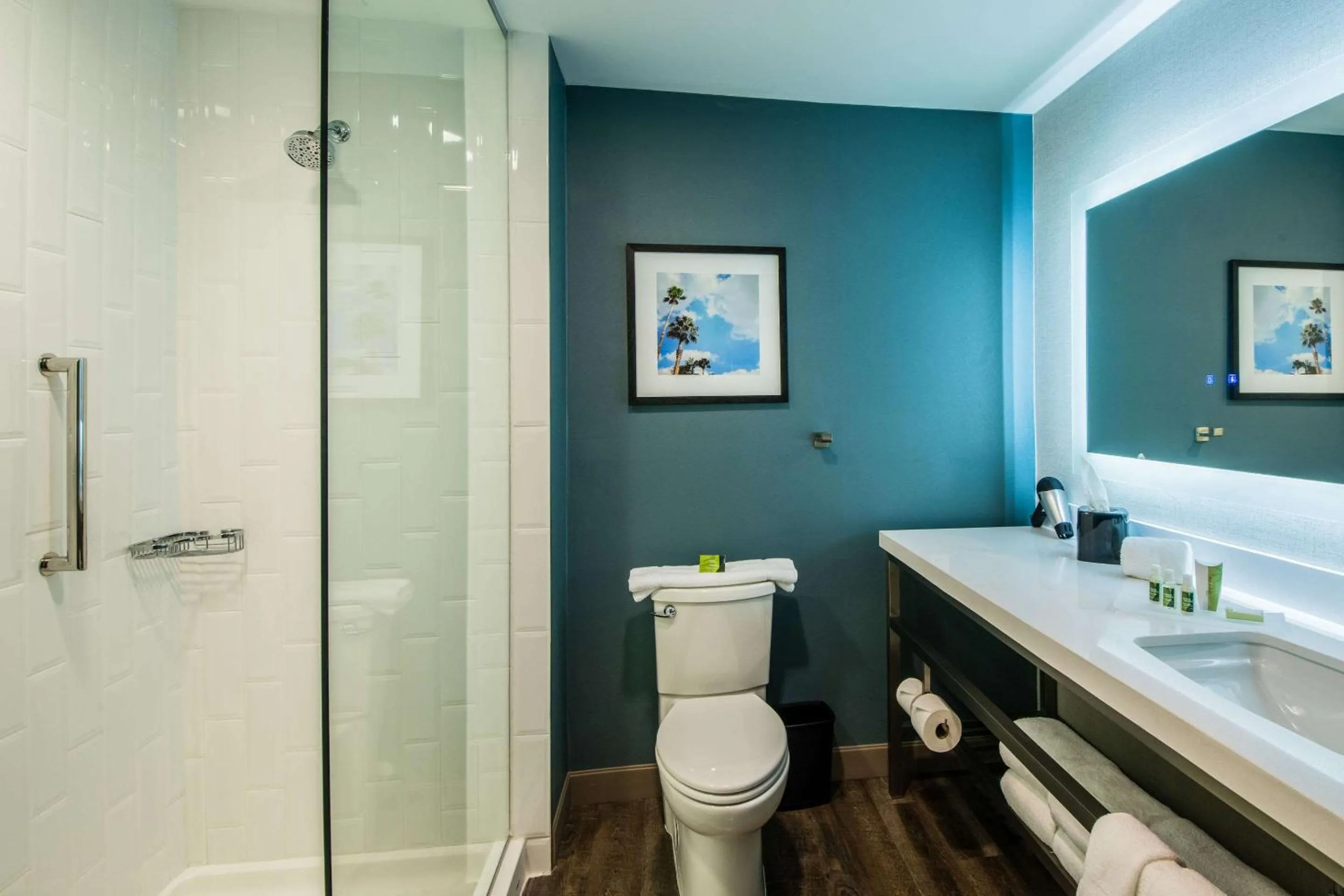 Superior King Suite - Non-Smoking in Cambria Hotel McAllen Convention Center