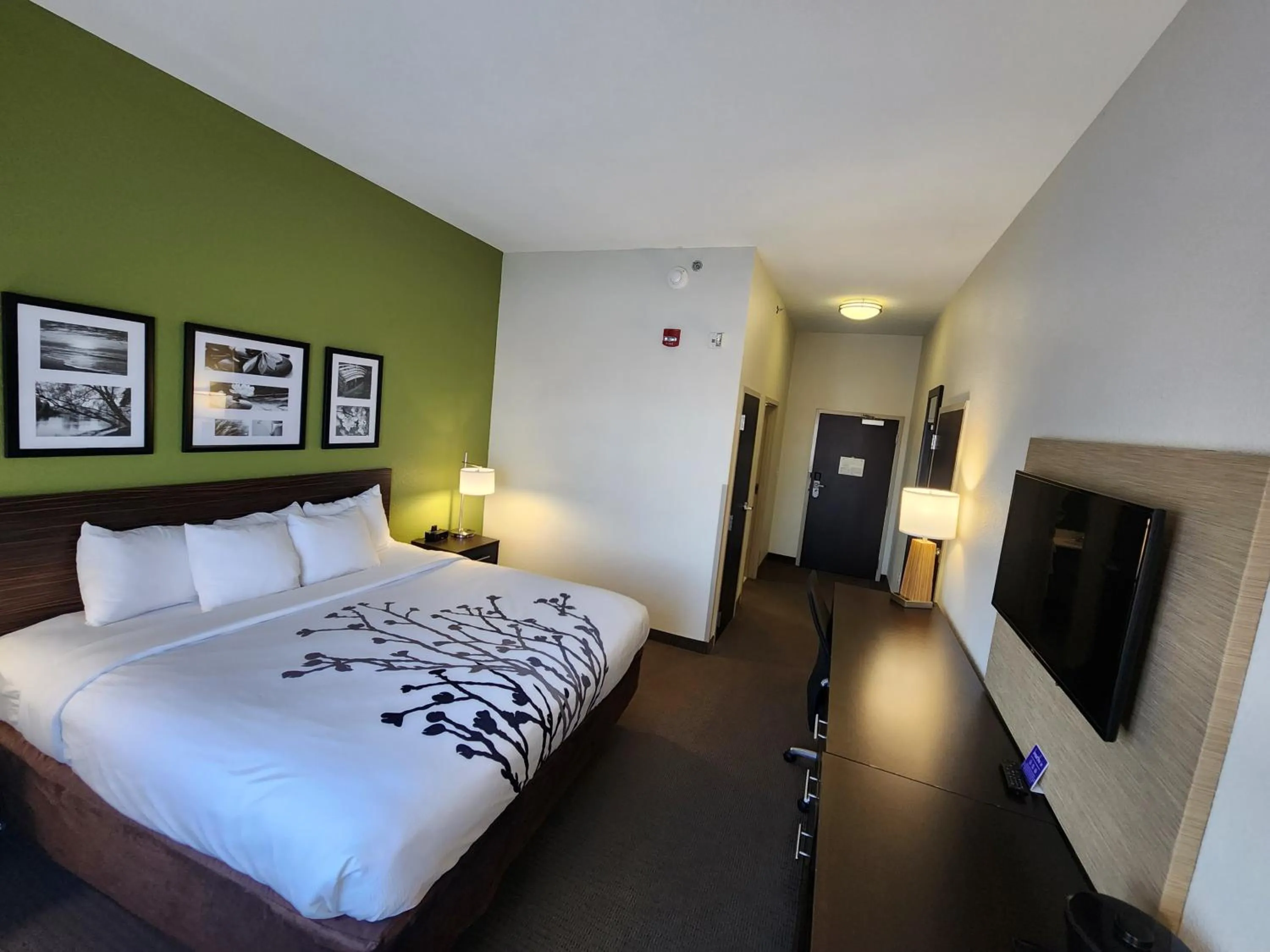 King Room - Accessible/Non-Smoking in Sleep Inn & Suites Columbia