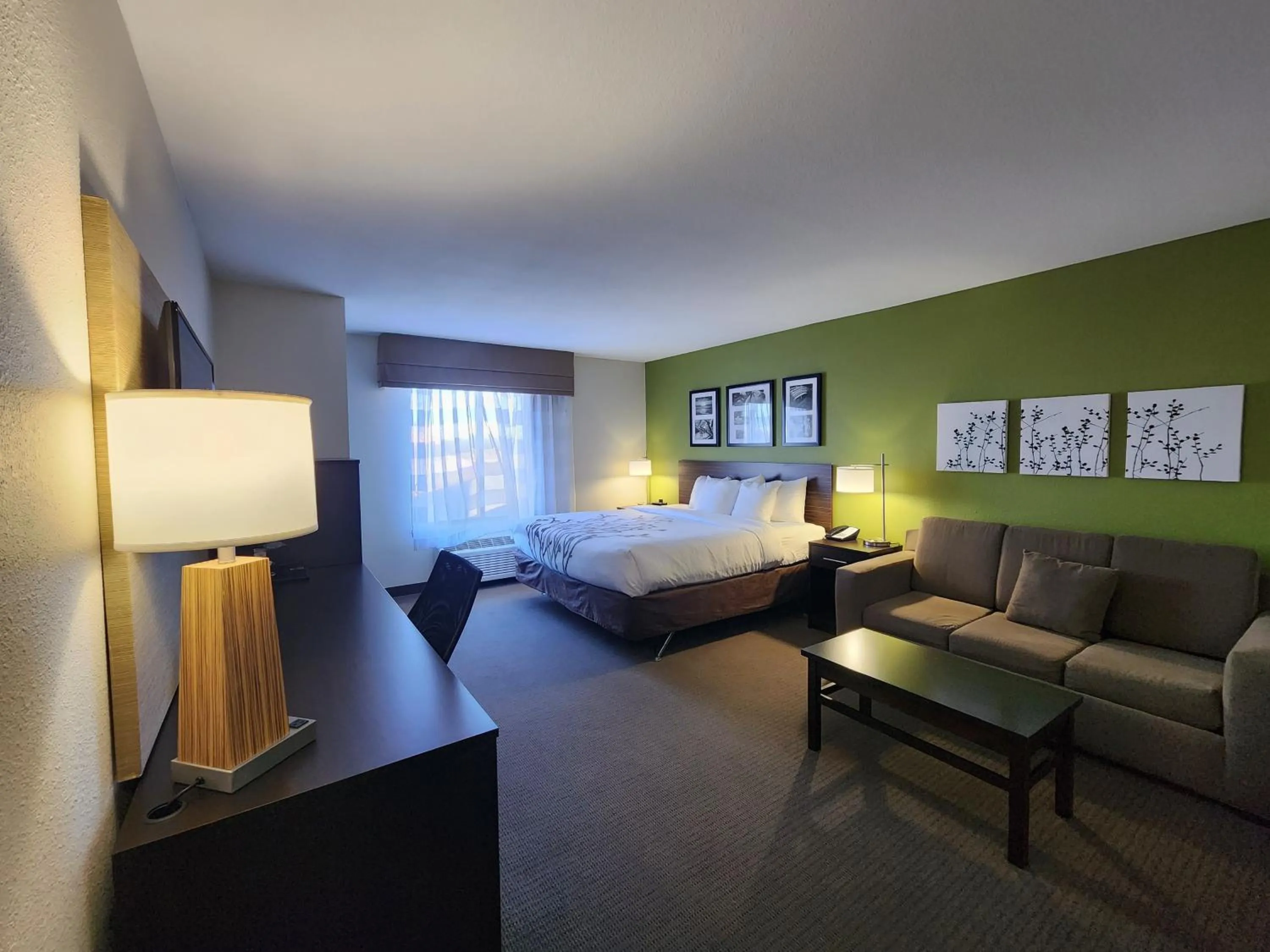 King Suite - Accessible/Non-Smoking in Sleep Inn & Suites Columbia