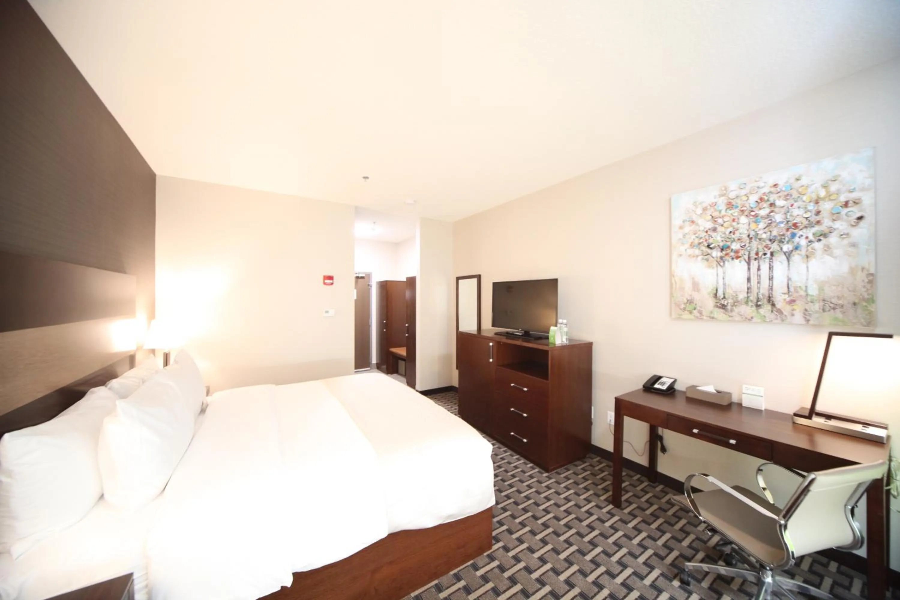 Superior King Room in Wyndham Garden Edmonton Airport