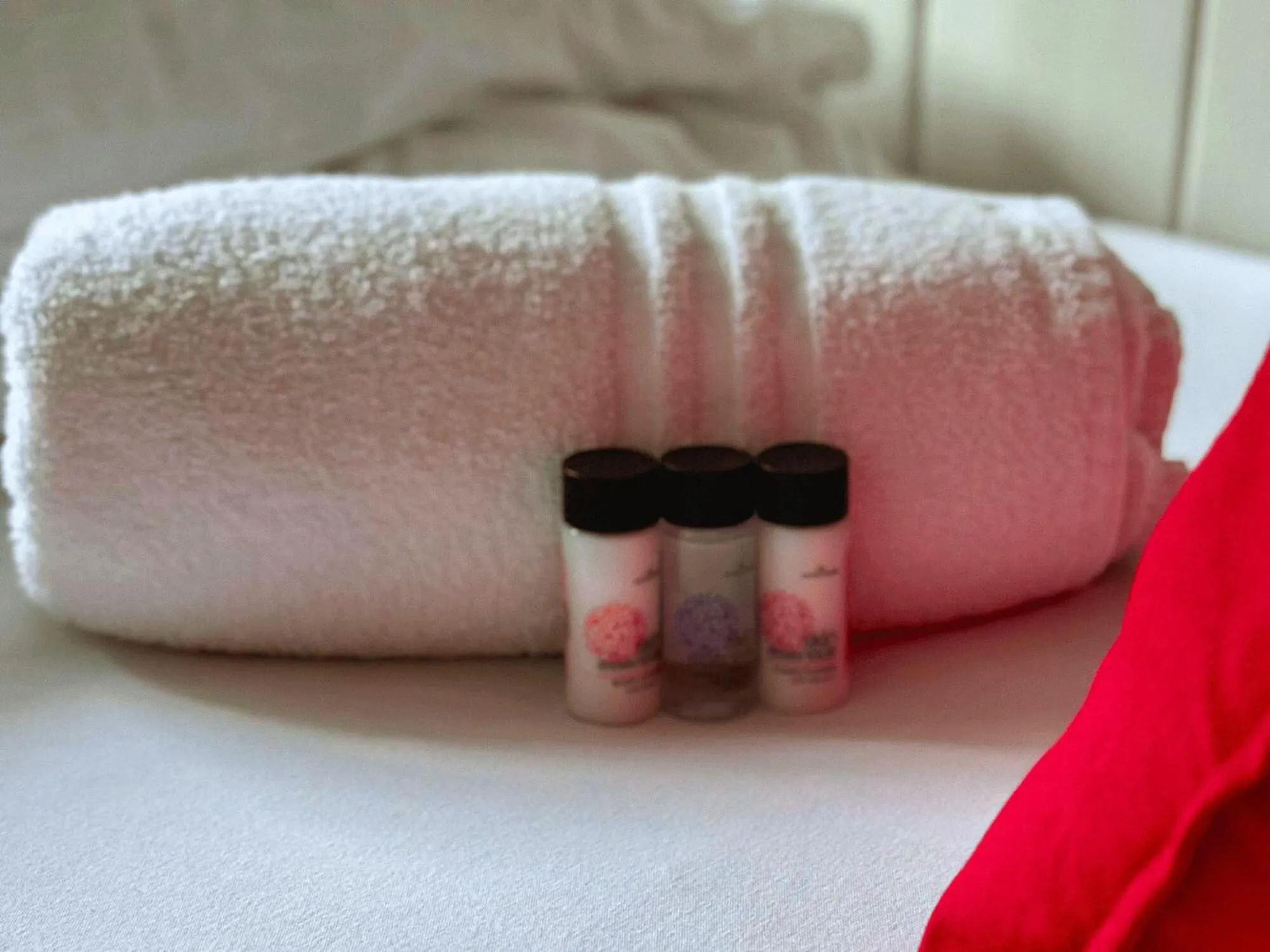 Twin Room with Shared Bathroom in Gardiner House Hostel