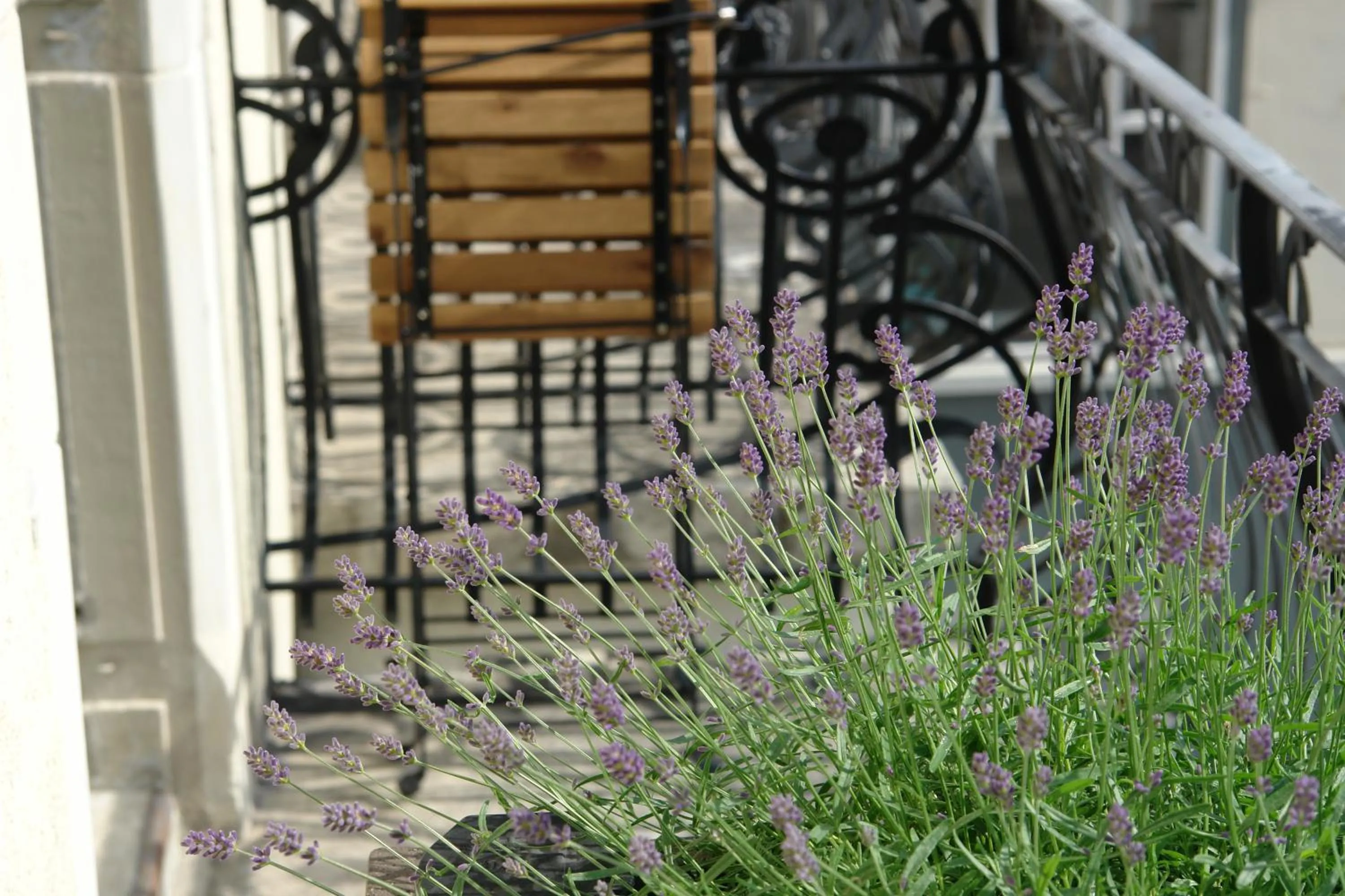 Medium Balcony in Bellevue-Terminus - Urban Lifestyle Hotel