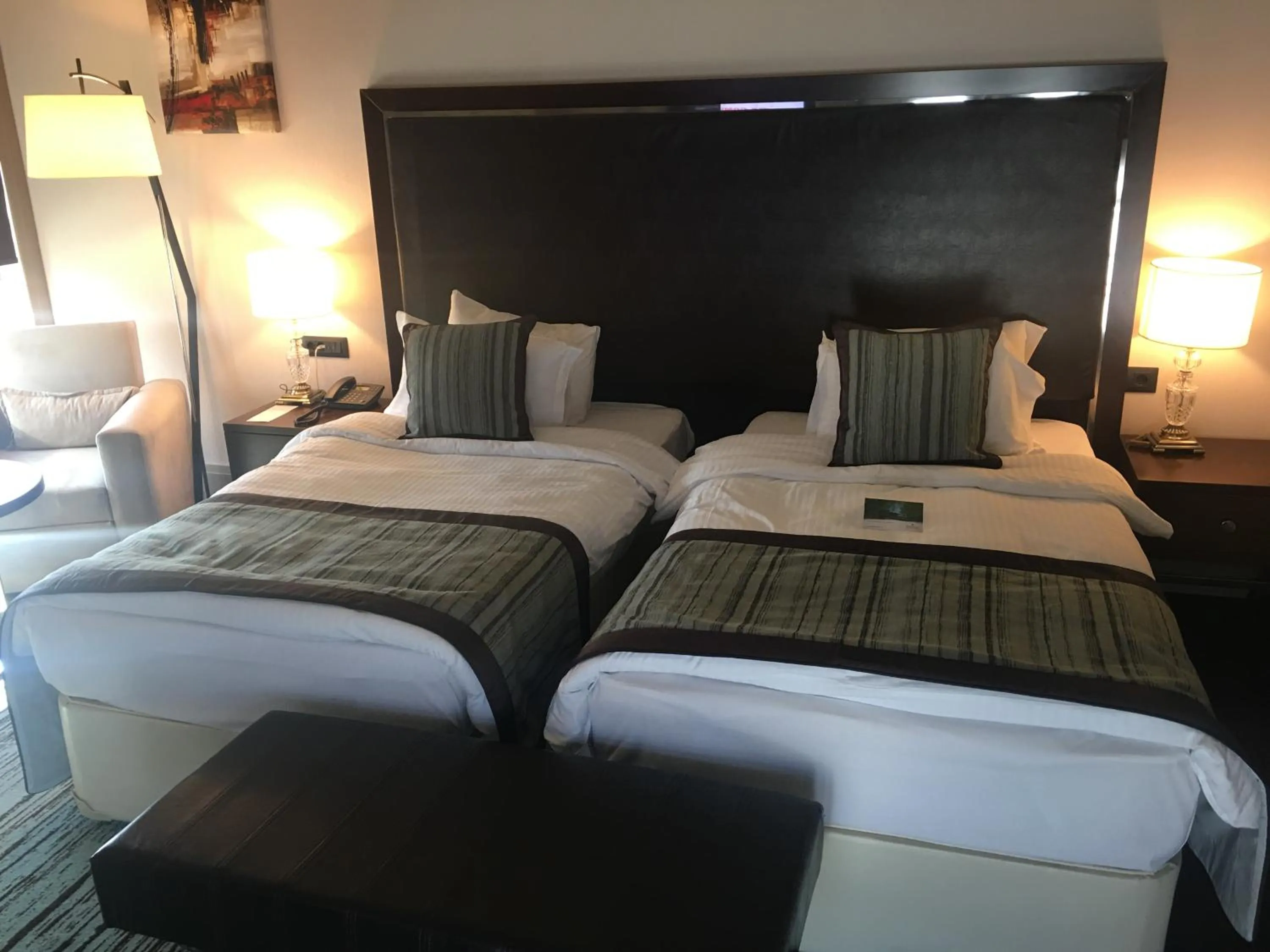 Standard Twin Room - single occupancy in Ramada By Wyndham Iskenderun