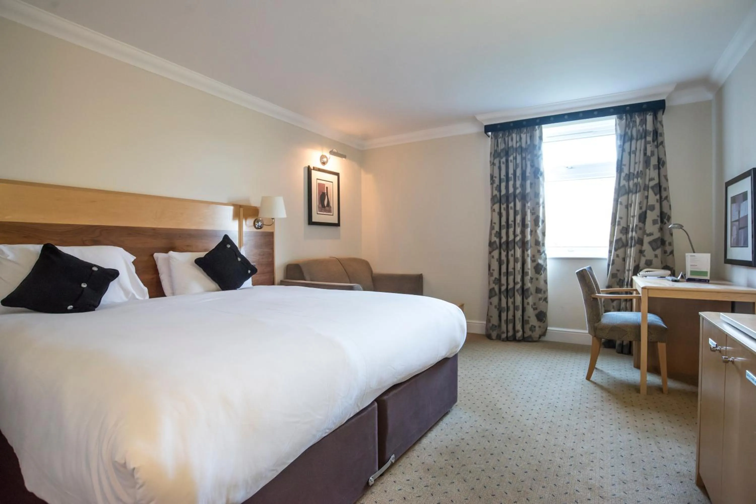 Ambassador King-Size/Twin Room in Apollo Hotel