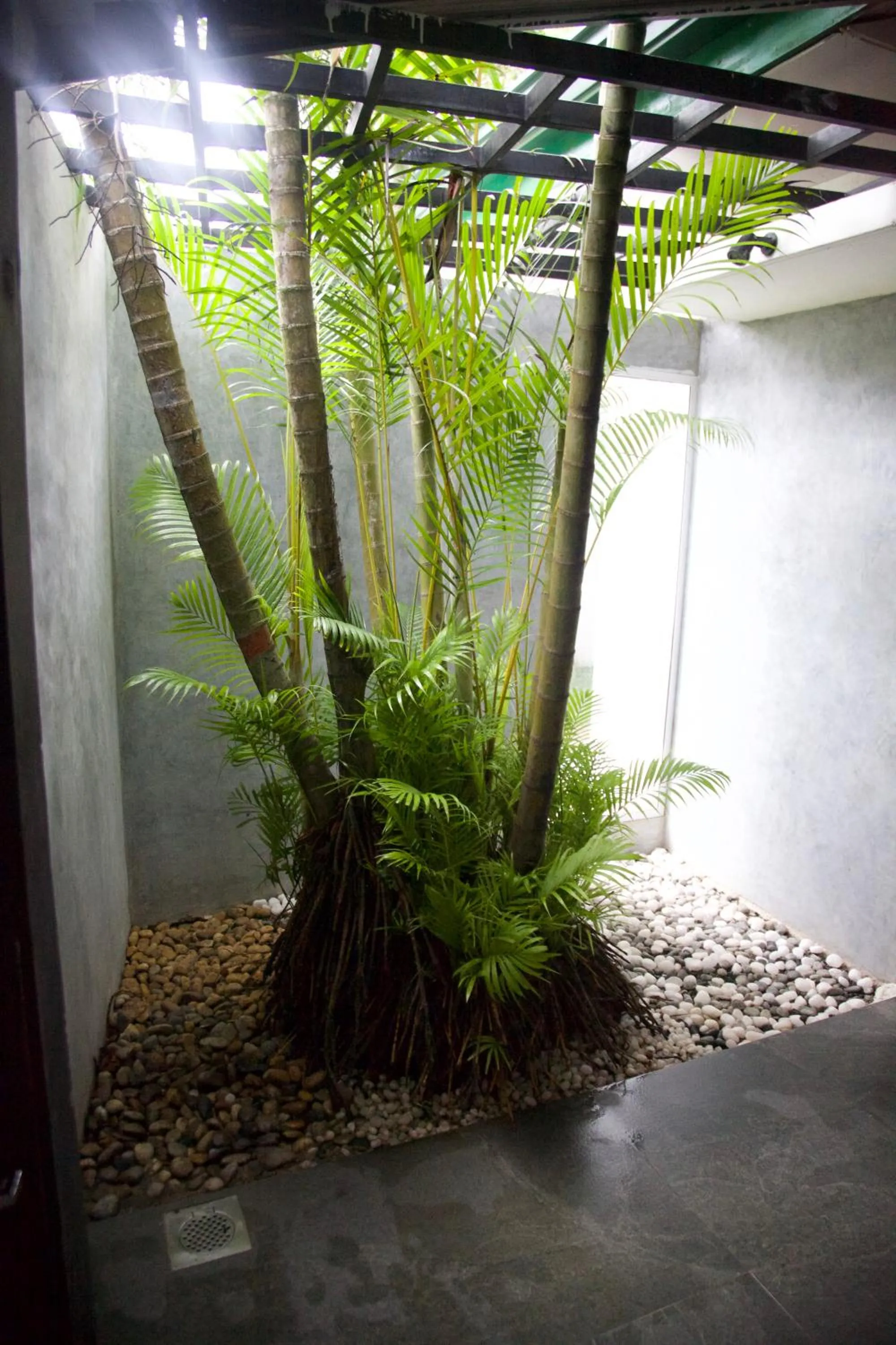 Superior Triple Room - single occupancy in Glamour Mirissa