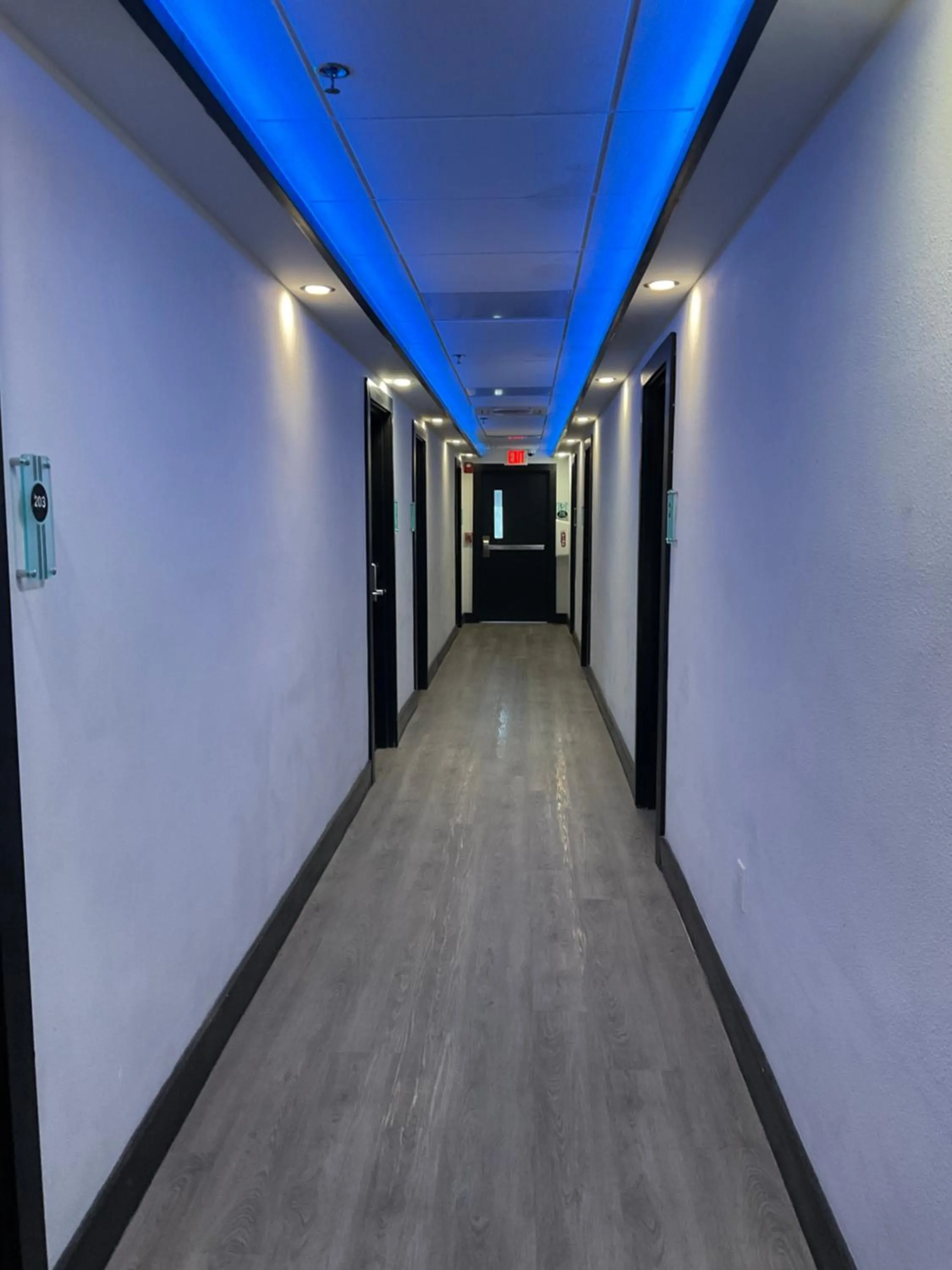 Queen Room in The Streamline Hotel - Daytona Beach