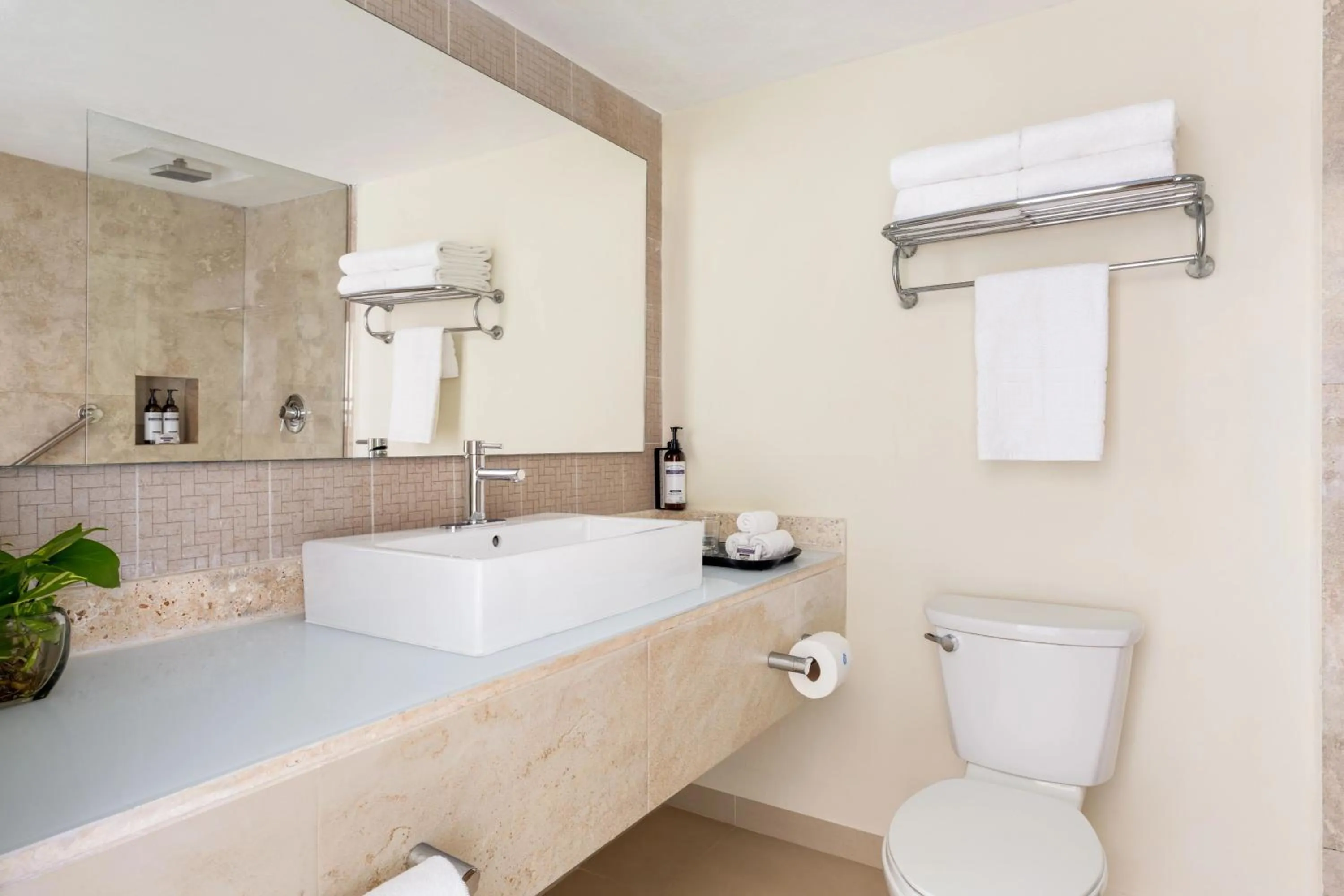 Deluxe Room - single occupancy in Sunscape Sabor Cozumel