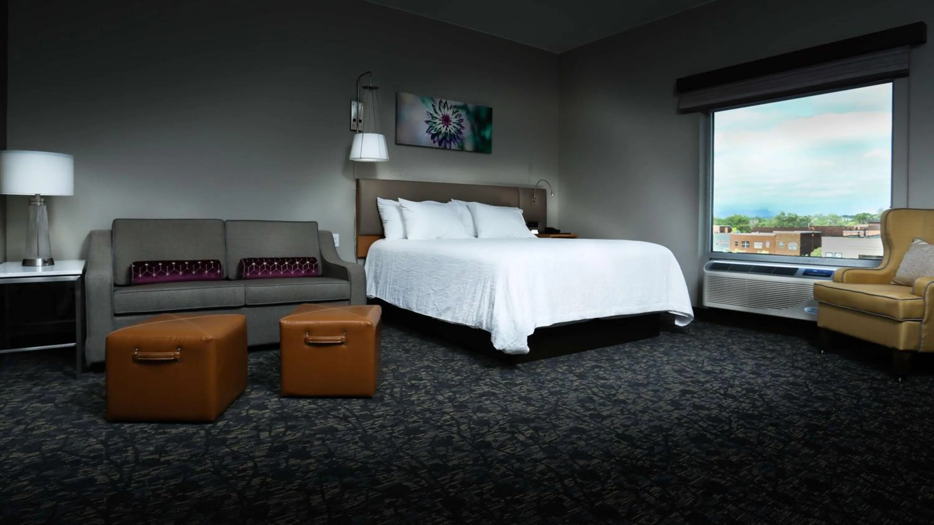 Deluxe King Room with Mountain View in Hilton Garden Inn Arvada/Denver, CO
