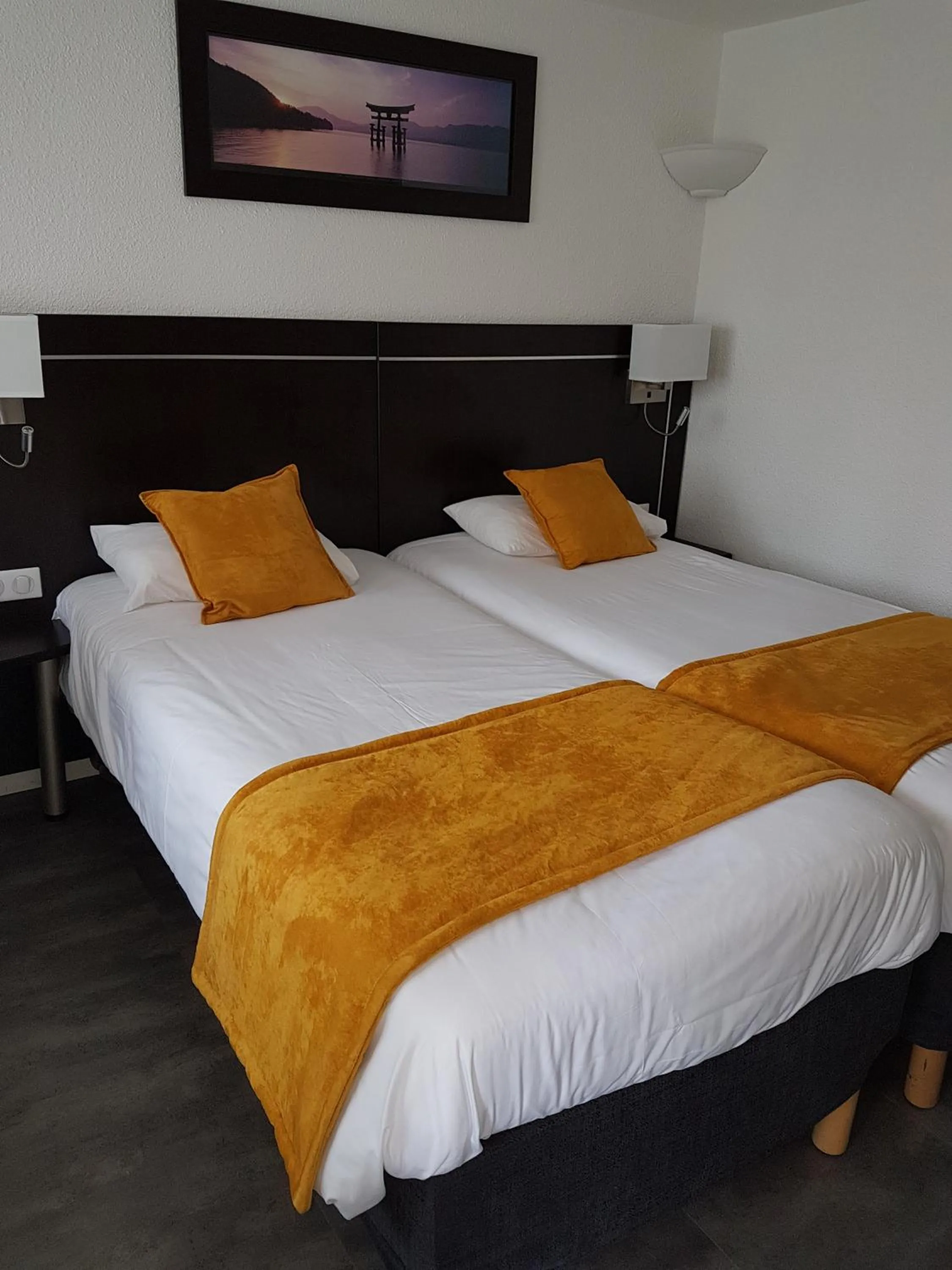 3 Single Beds in Kyriad Lille Est - Hem