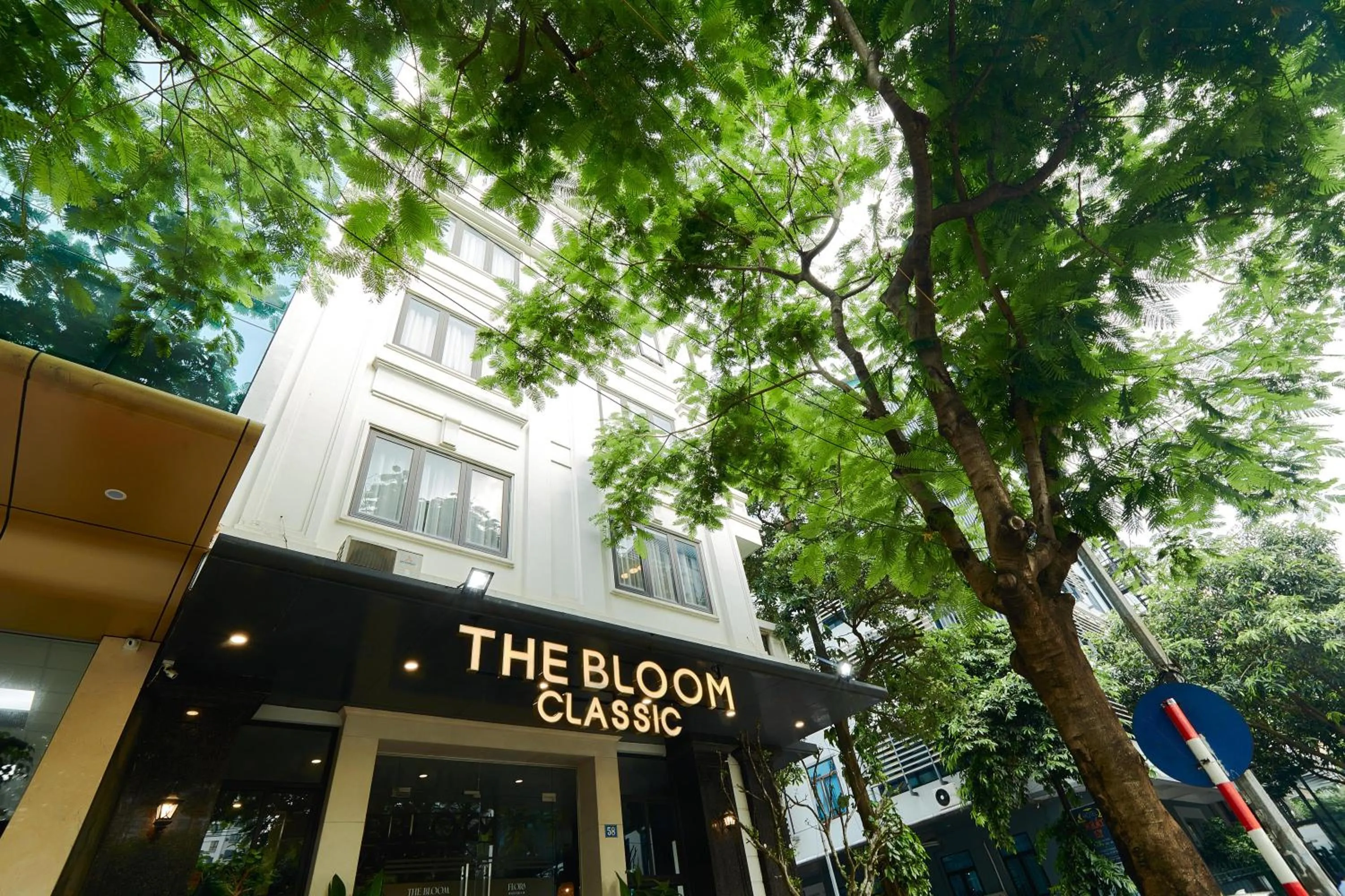 The Bloom Classic - An Excellent Blend of Cozy Living and Urban Relaxation