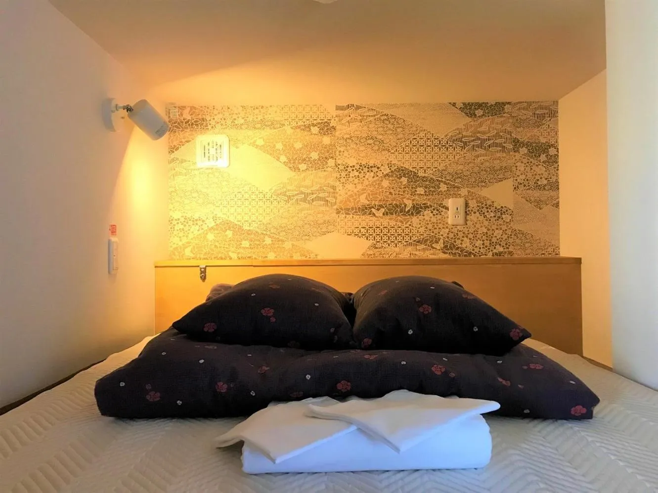 Capsule Double Bed in Mixed Dormitory Room with Shared Bathroom in K's House Kanazawa - Travelers Hostel