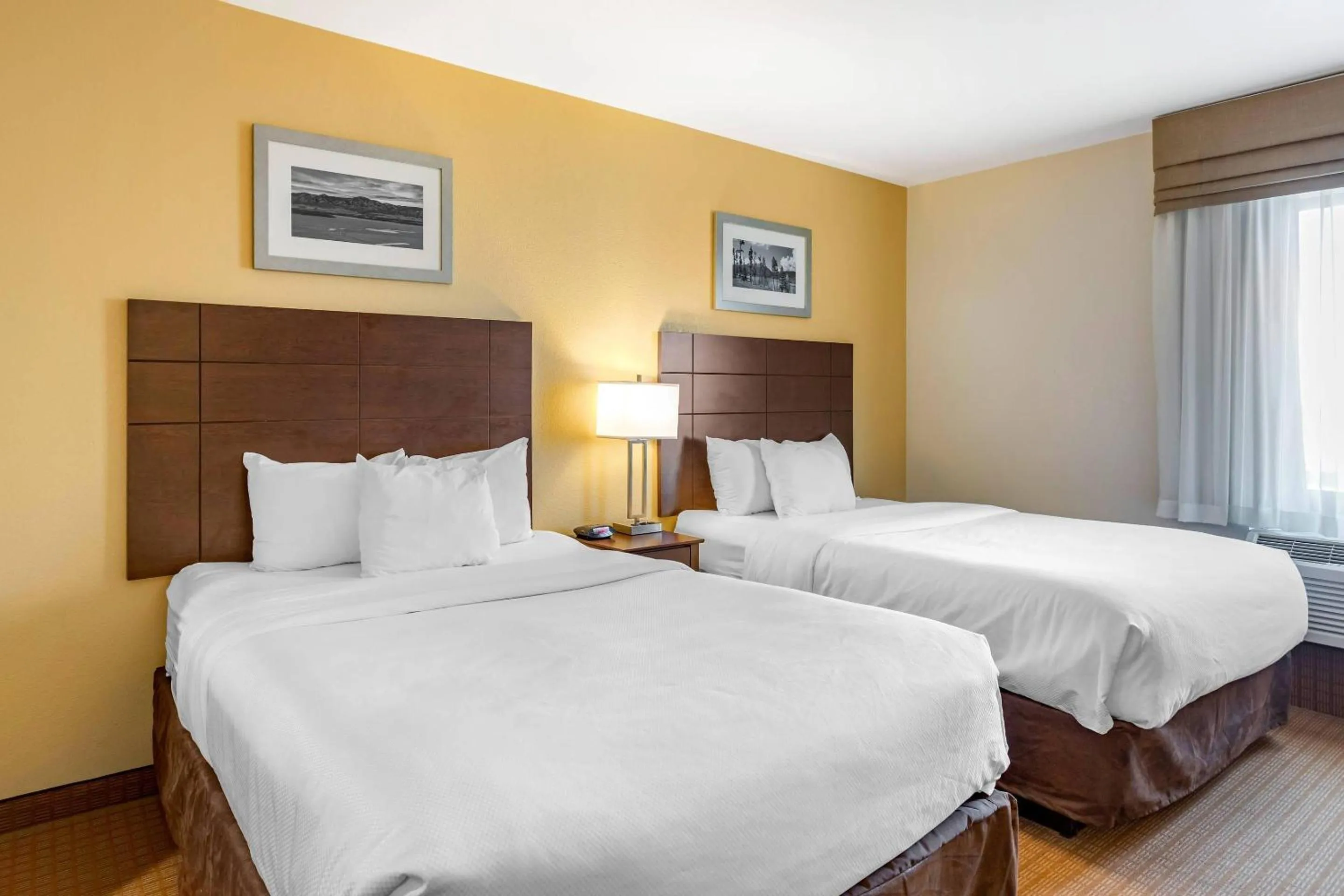 Queen Suite with Two Queen Beds and Sofa Bed - Non-Smoking in MainStay Suites Near Denver Downtown