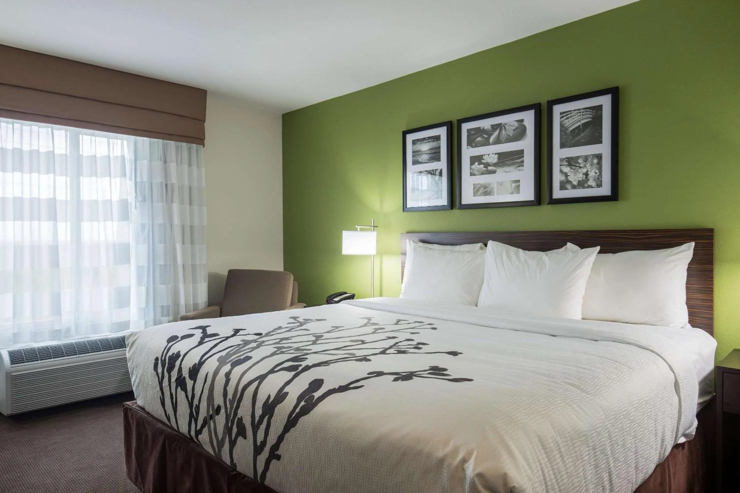 Standard King Room - Non-Smoking  in Sleep Inn & Suites Ingleside - Corpus Christi