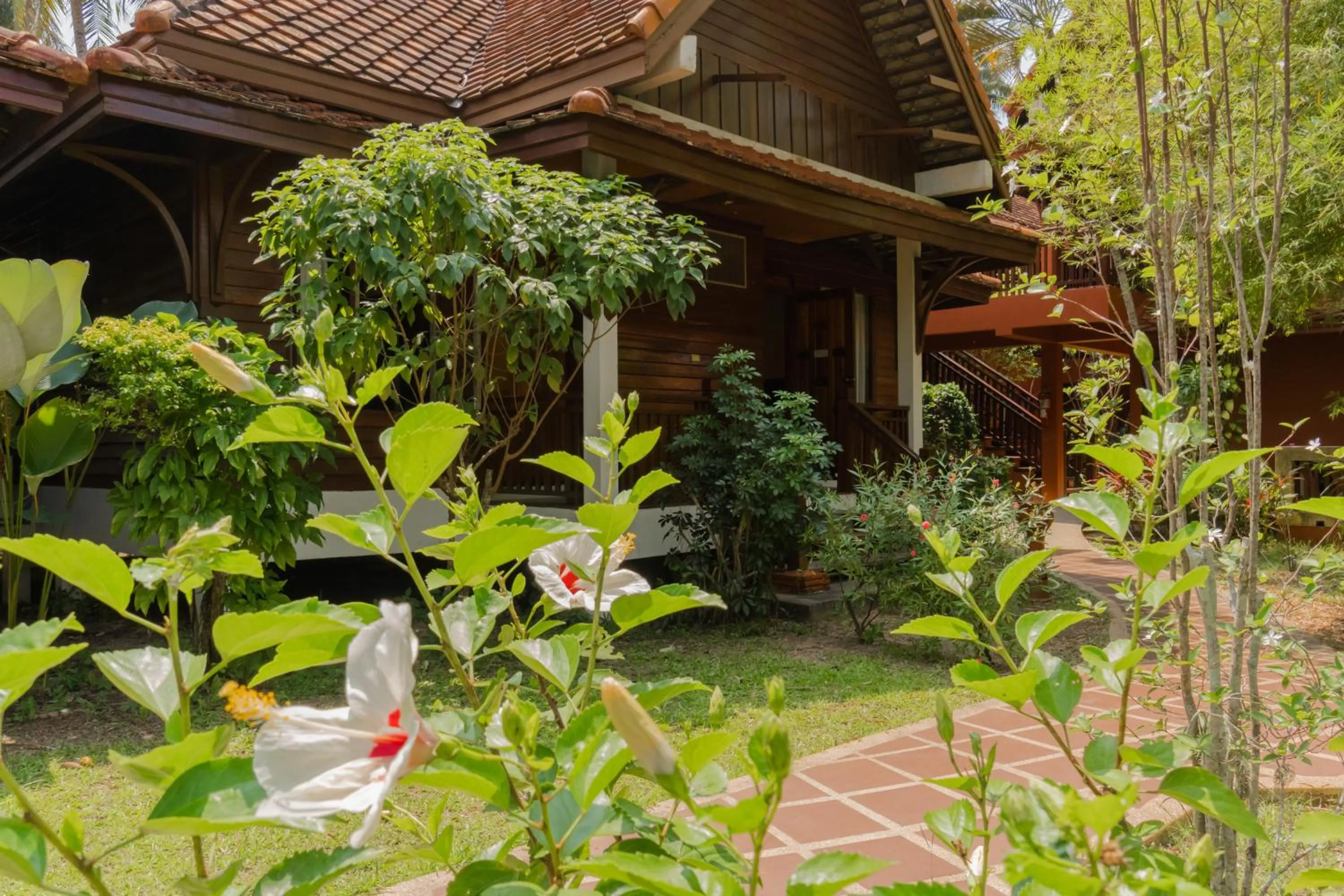 Deluxe King Suite in Coral Hotel Bangsaphan