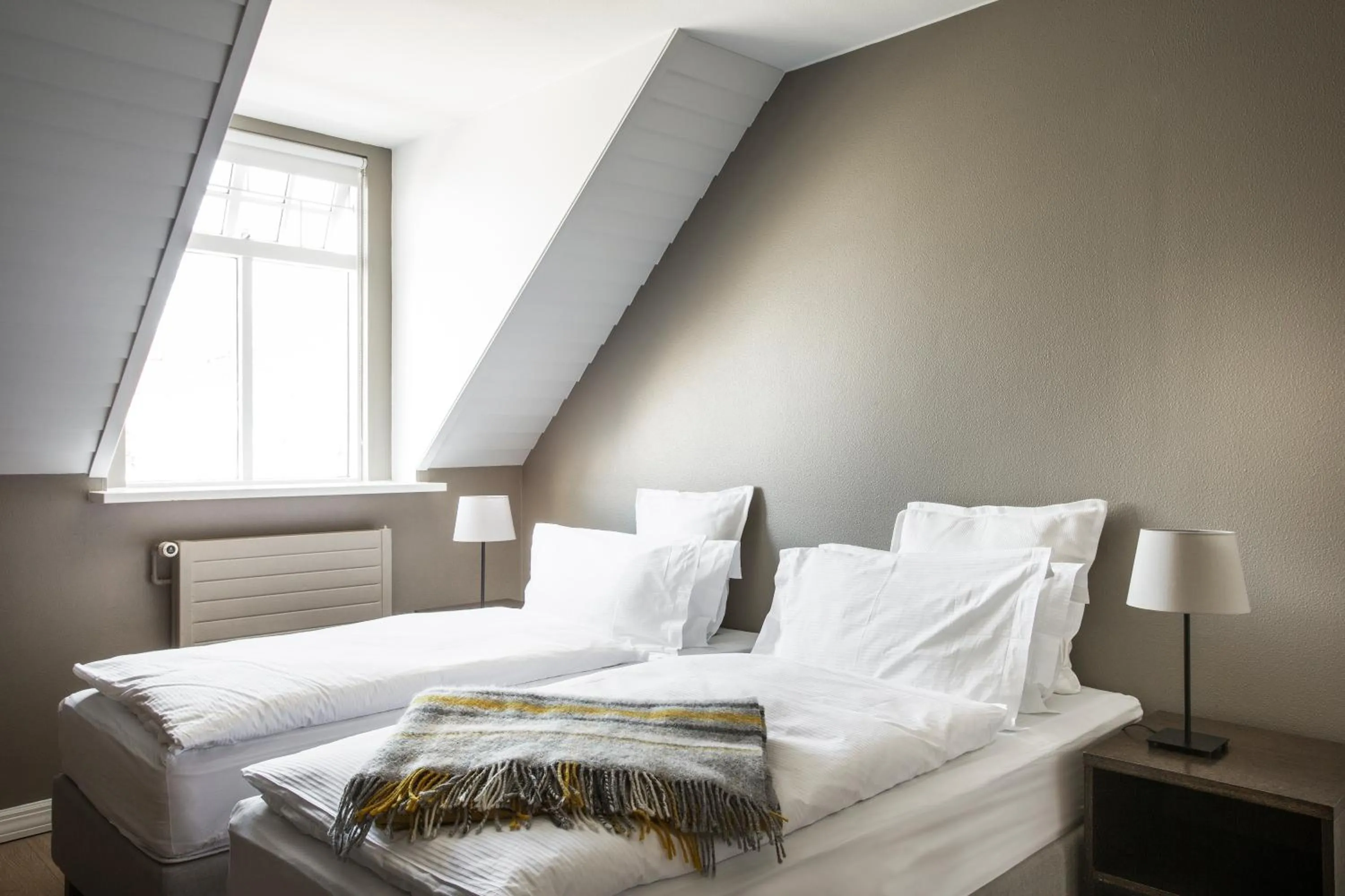 Double or Twin Room in Hotel Ódinsvé