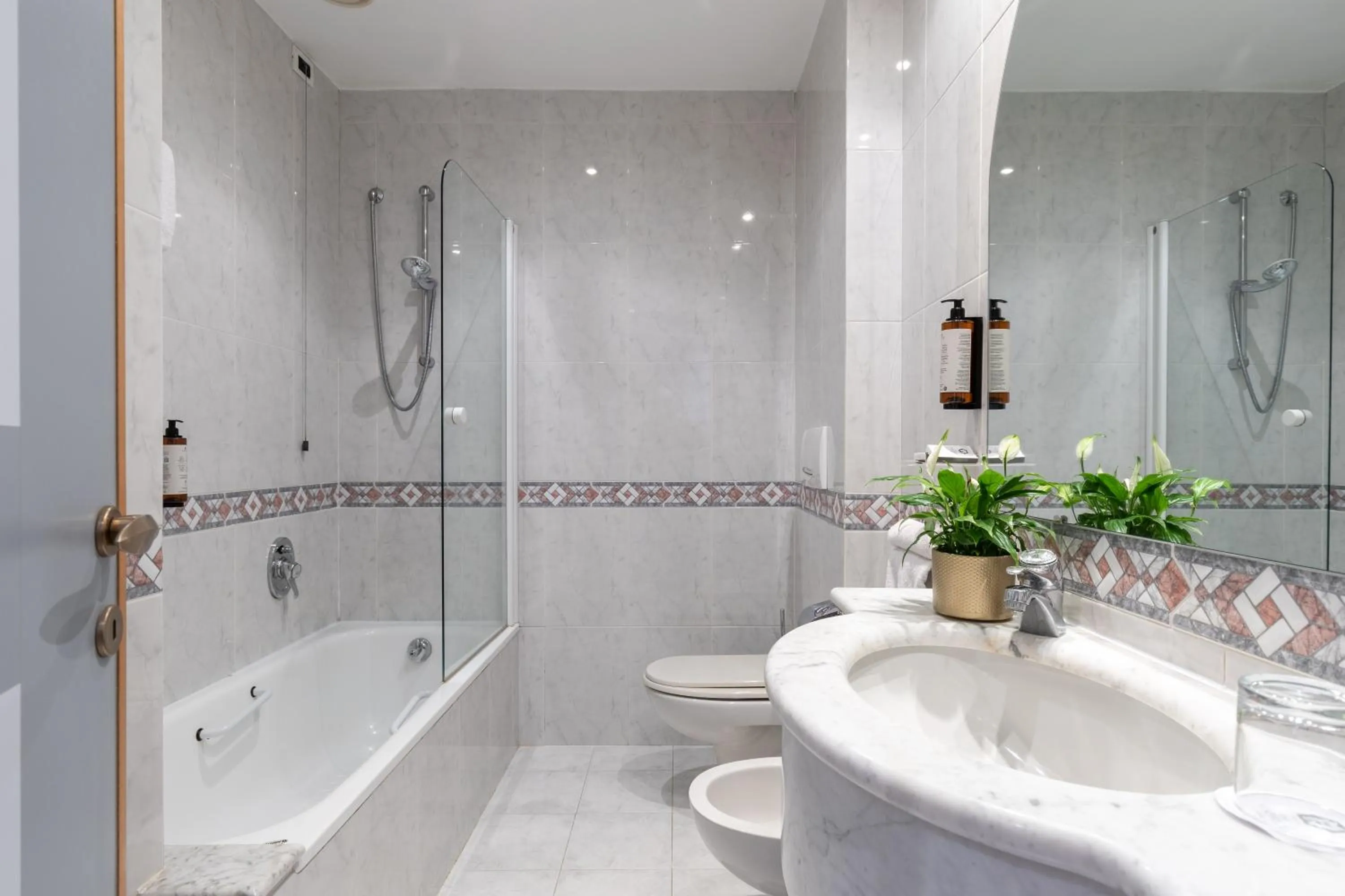 Standard  Double Room in Hotel Minerva