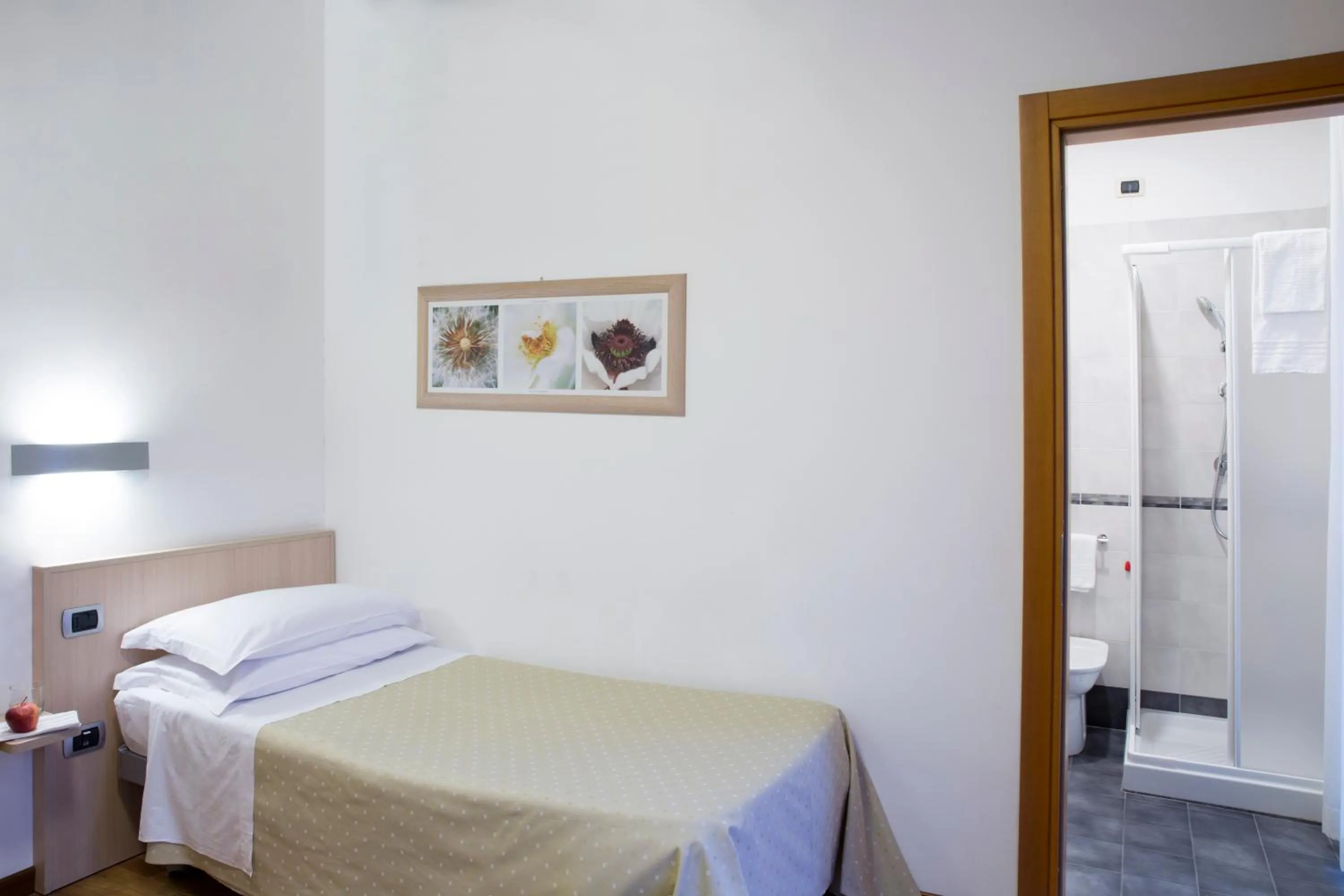 Business Single Room - single occupancy in Park Hotel