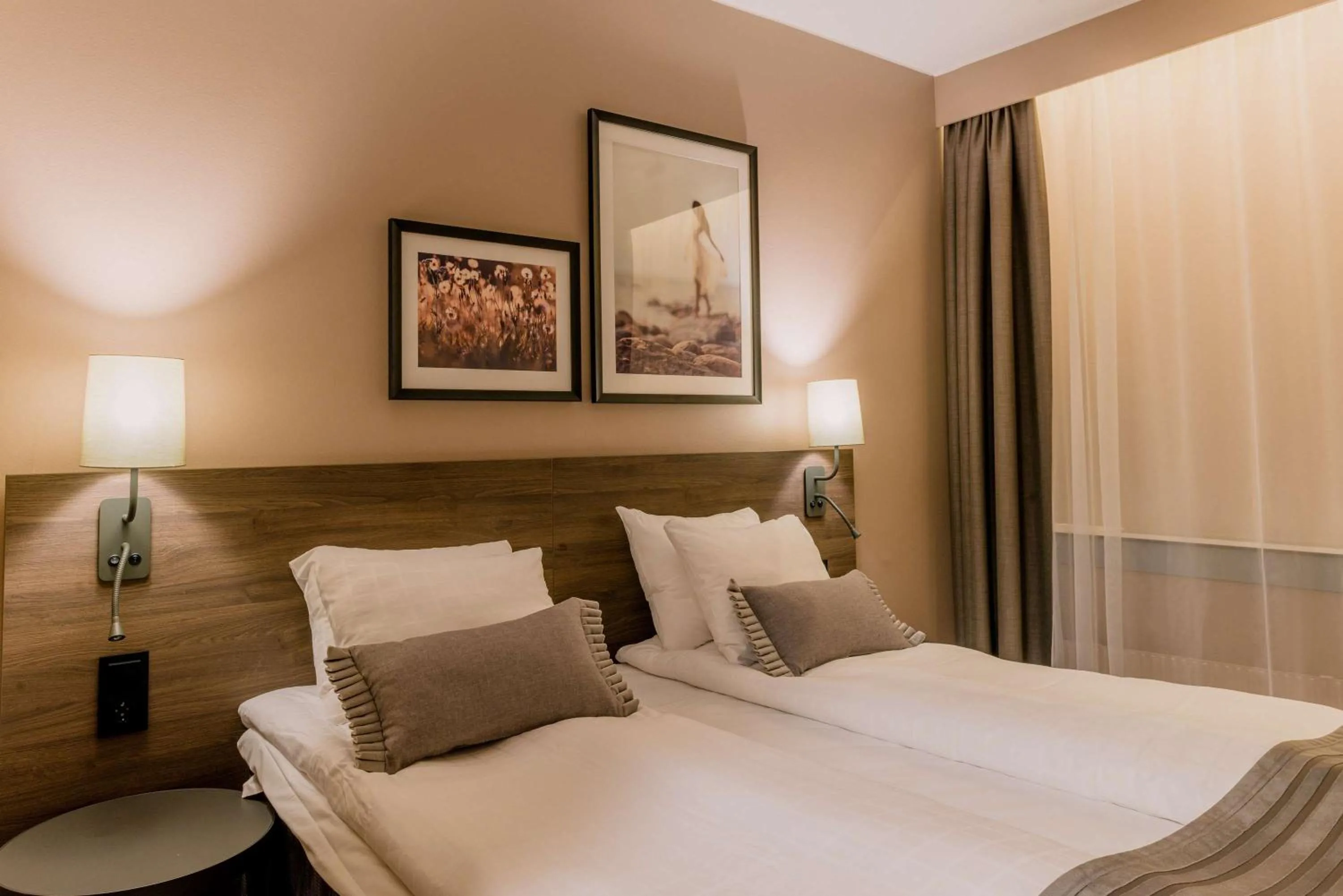 Budget Twin Room without Windows in Scandic Rubinen