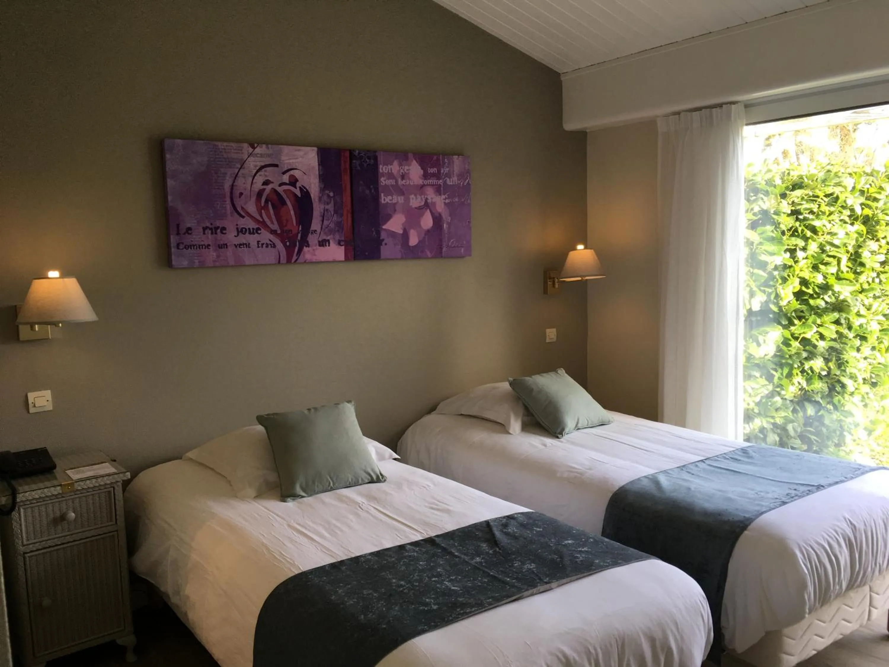 Twin Room in Logis Hôtel Val de Vienne