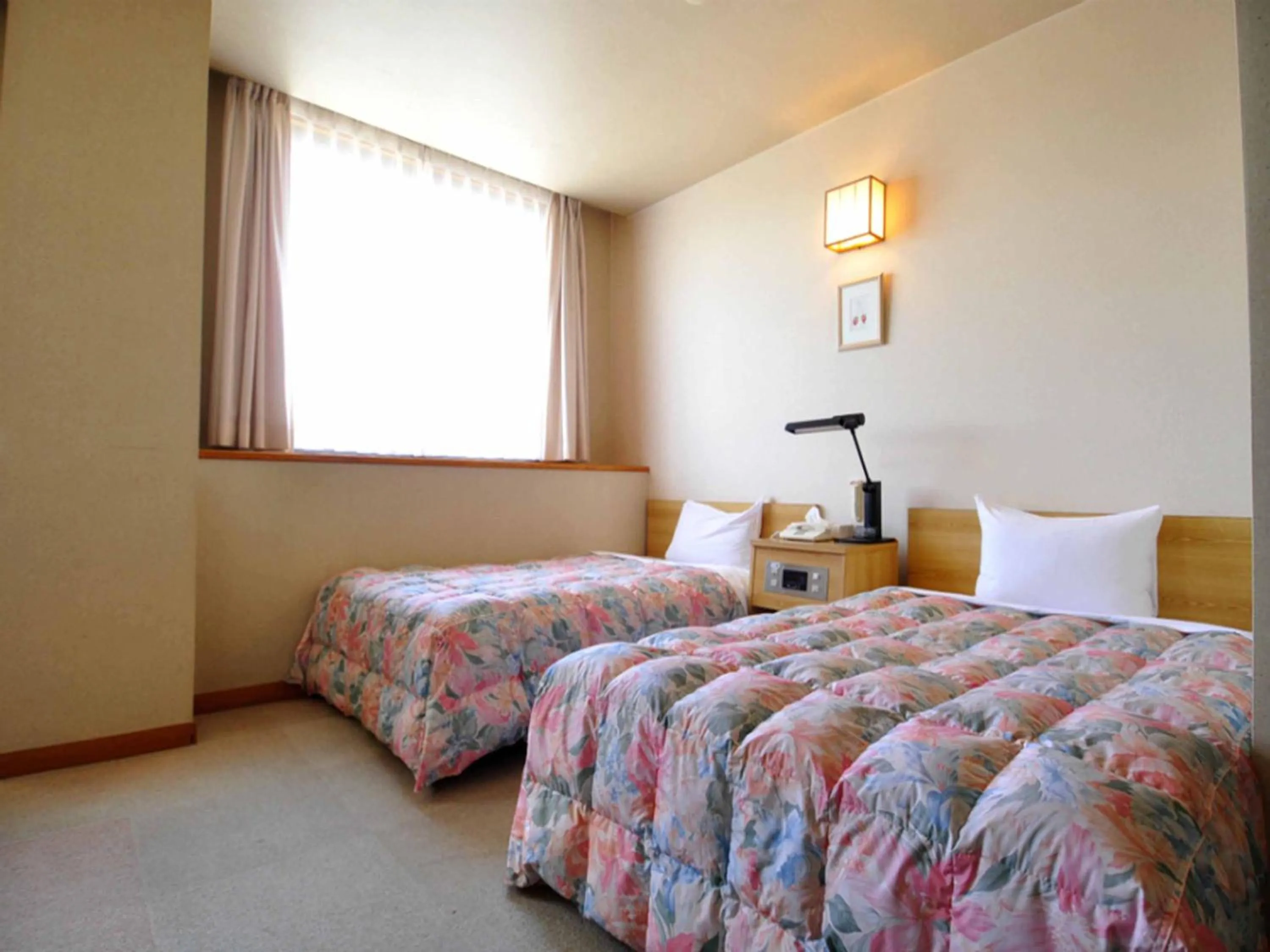 Twin Room - single occupancy - Annex in Hotel King