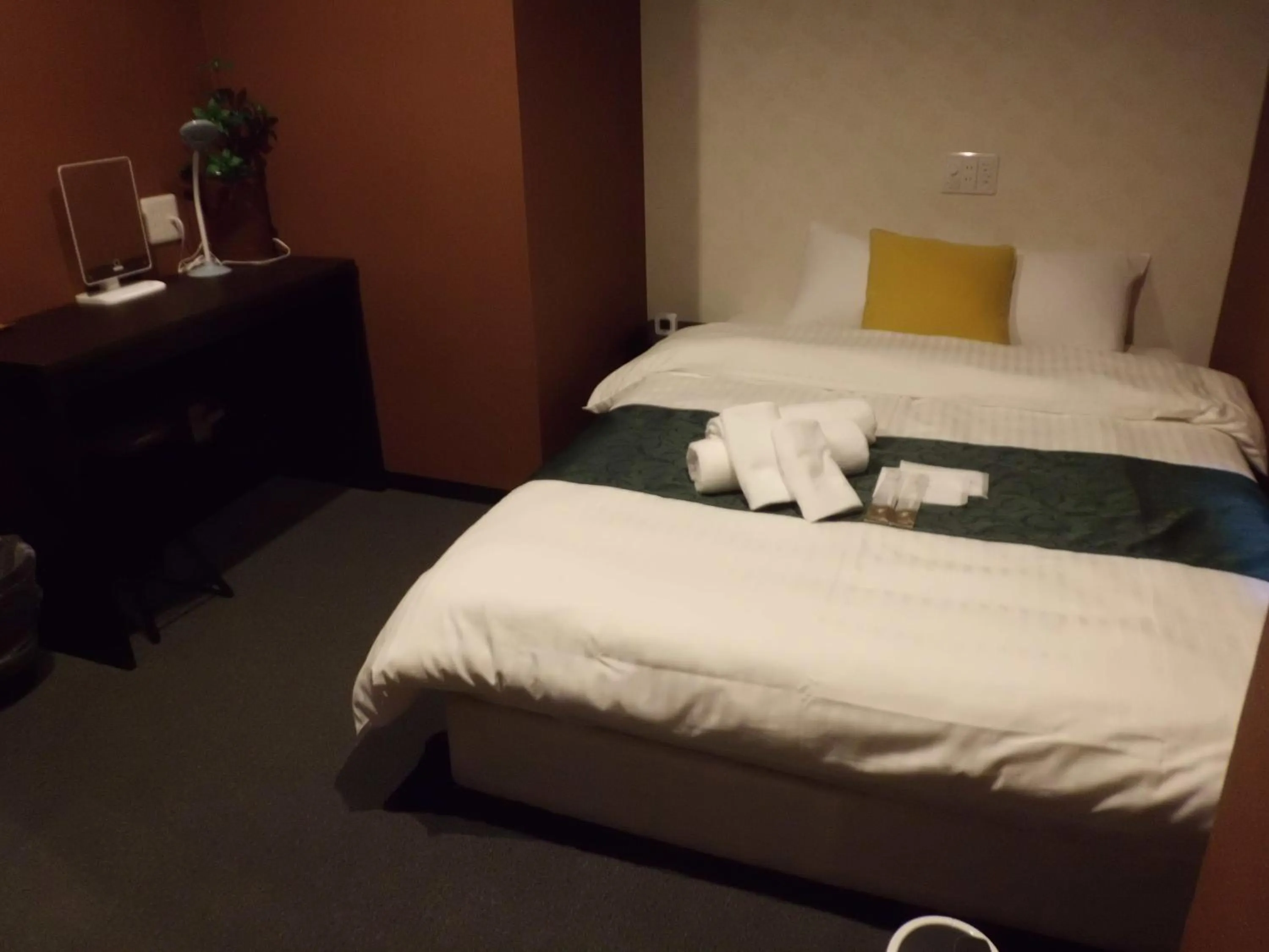 Standard Double Room with Shared Bathroom - single occupancy in Sumiya Spa & Hotel