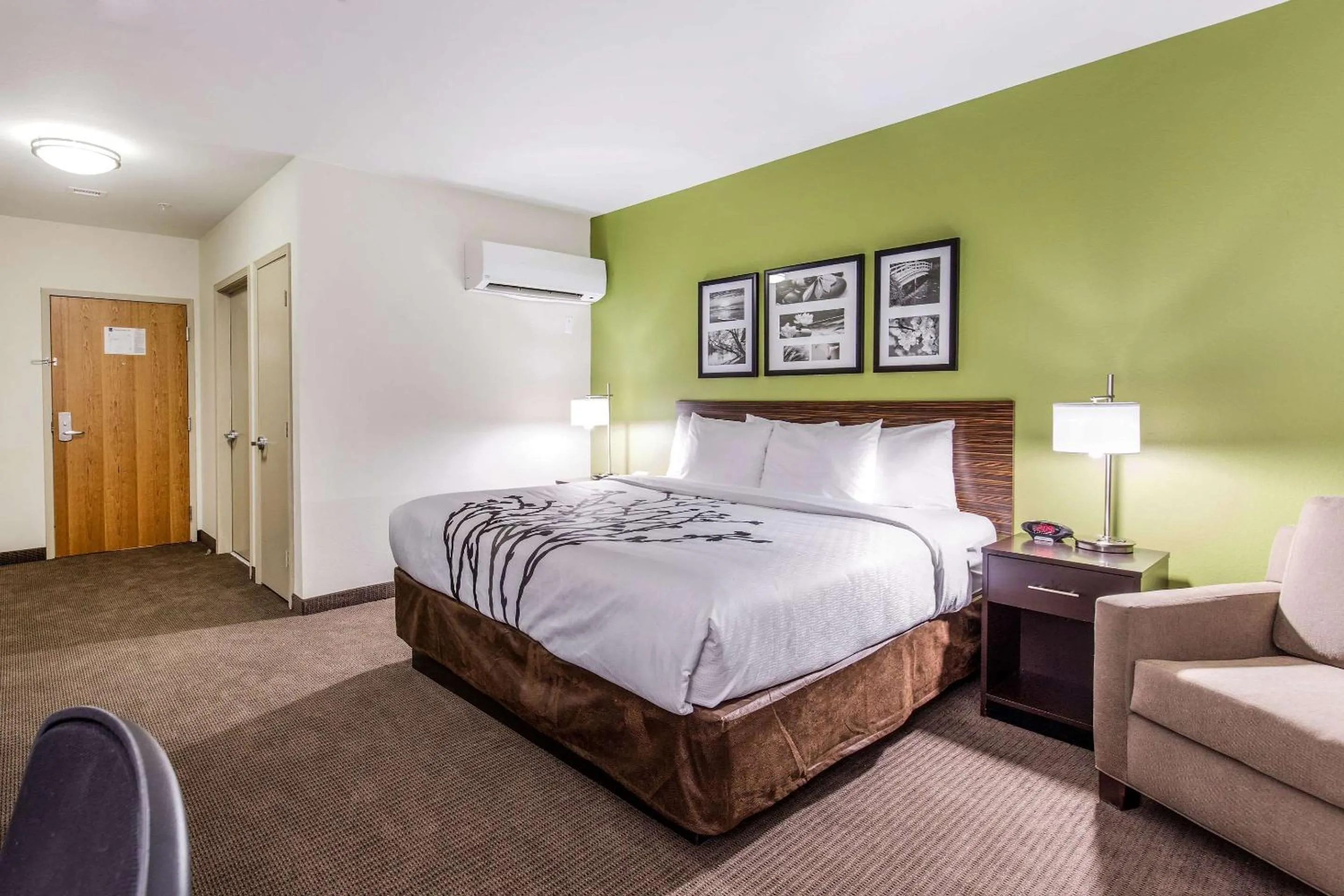 King Room - Disability Access/Non-Smoking in Sleep Inn Dallas Love Field-Medical District