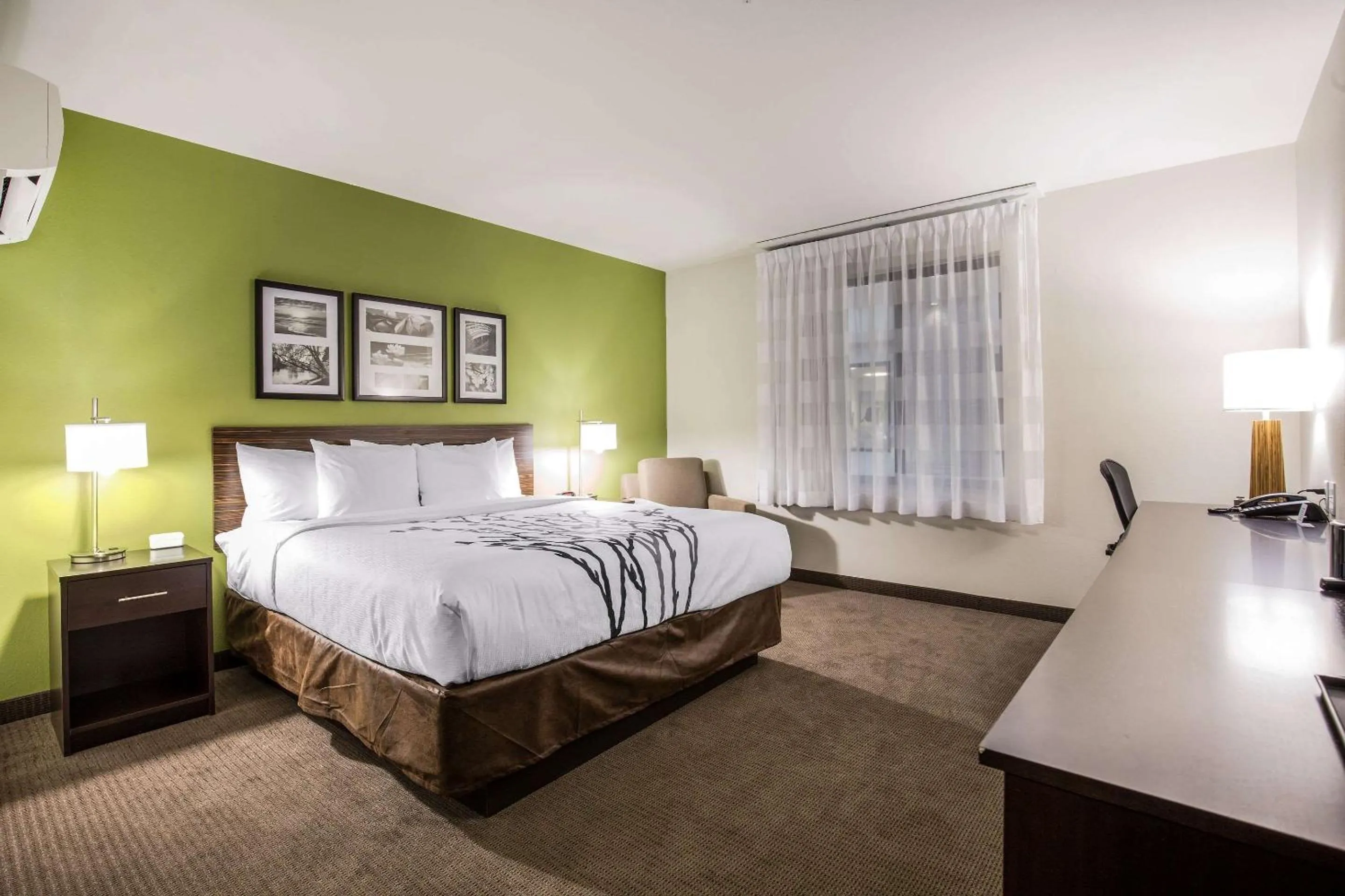 King Room - Non-Smoking in Sleep Inn Dallas Love Field-Medical District