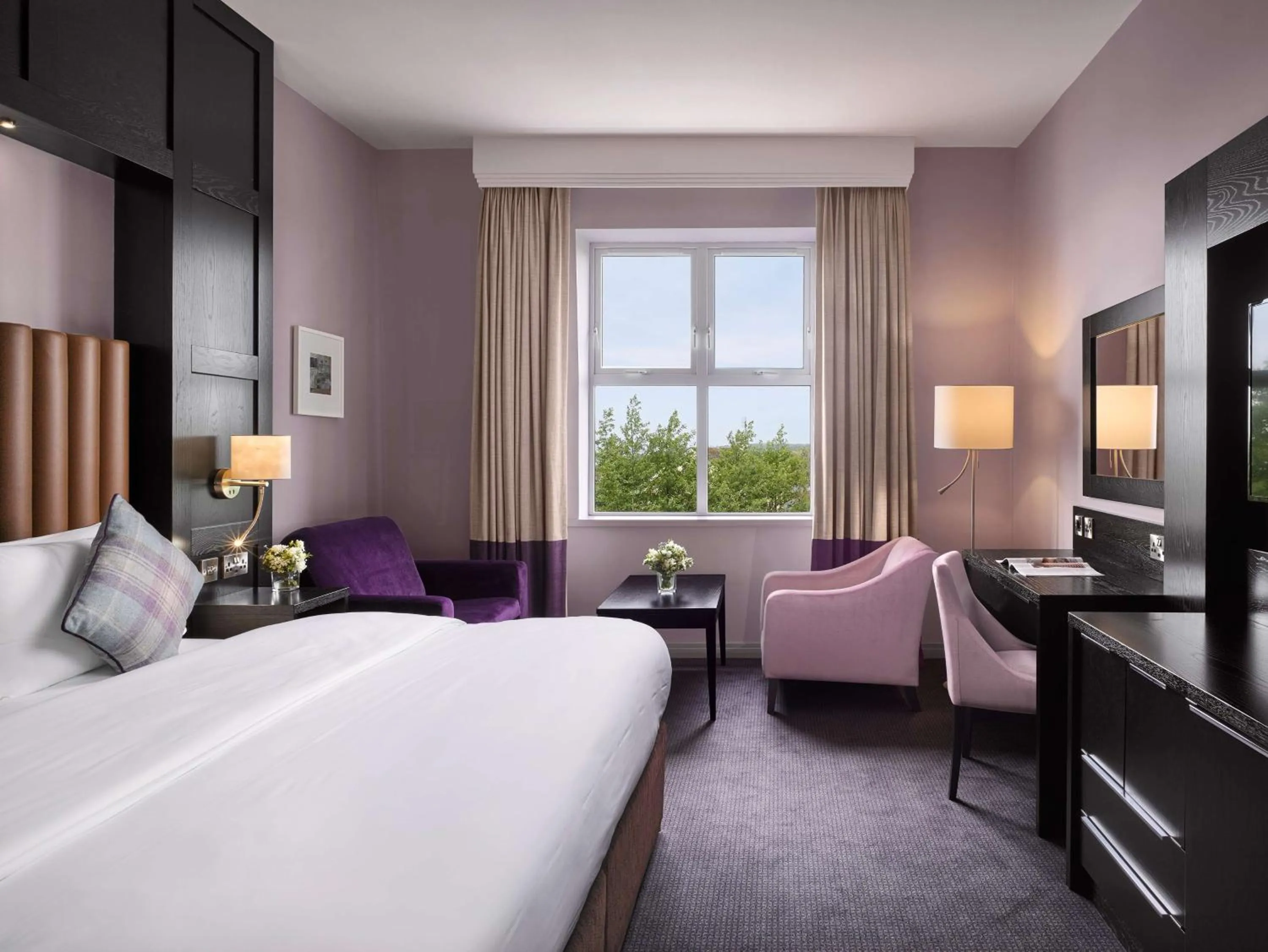 Standard Room with Mountain View in Radisson BLU Hotel & Spa, Sligo