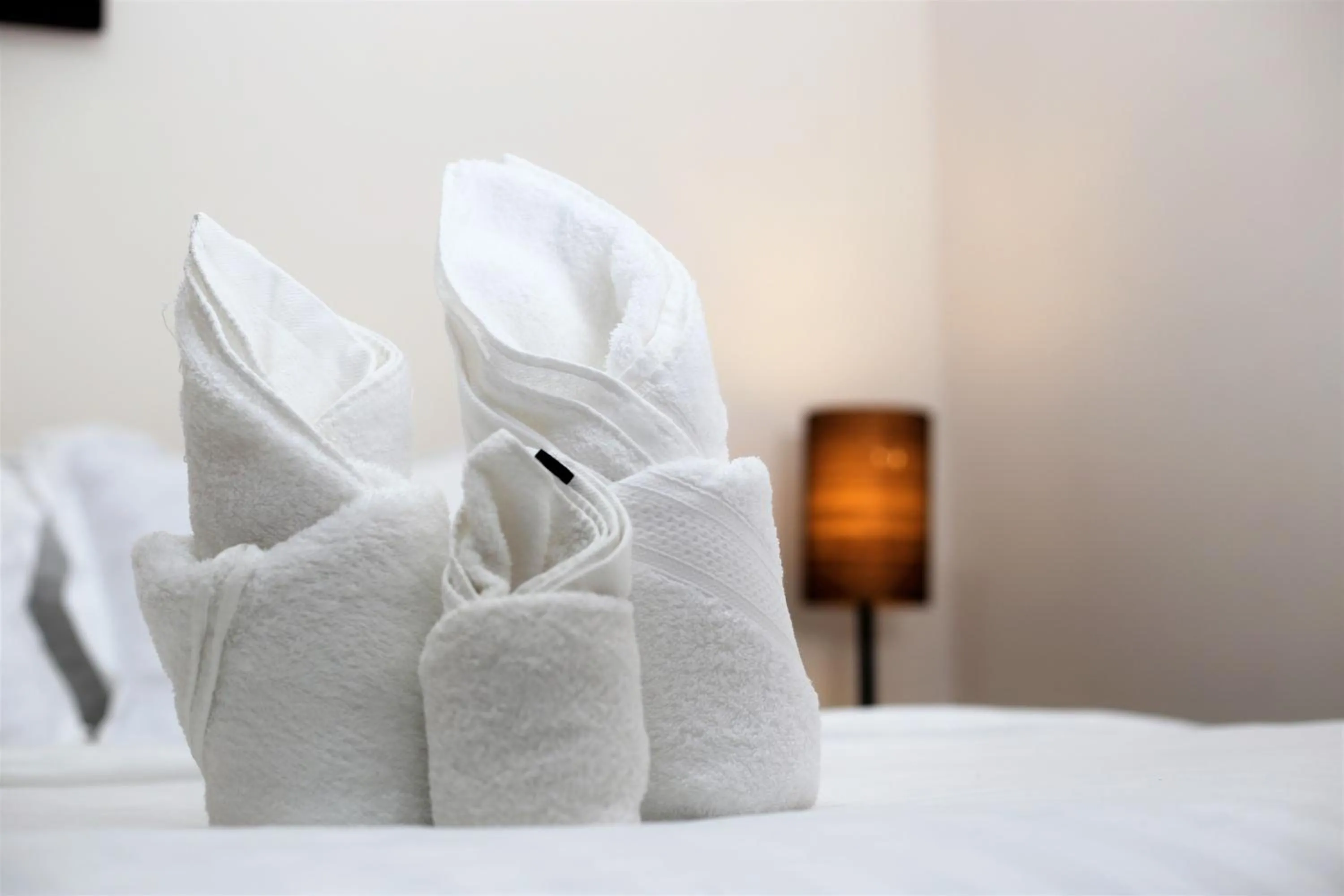 Deluxe Apartment in MekongView 2 CondoTel