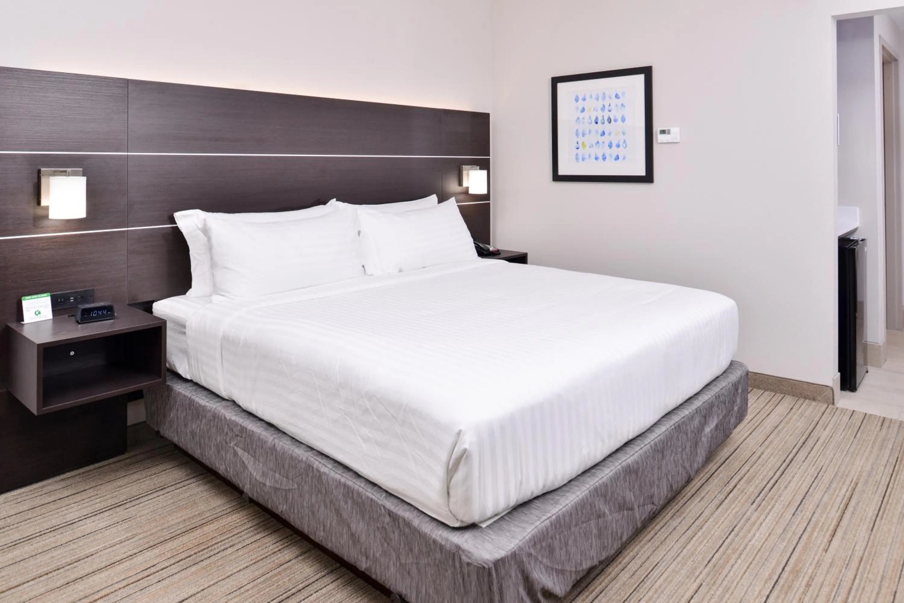 Standard King Room - Communications Accessible in Holiday Inn Express - Bethlehem by IHG