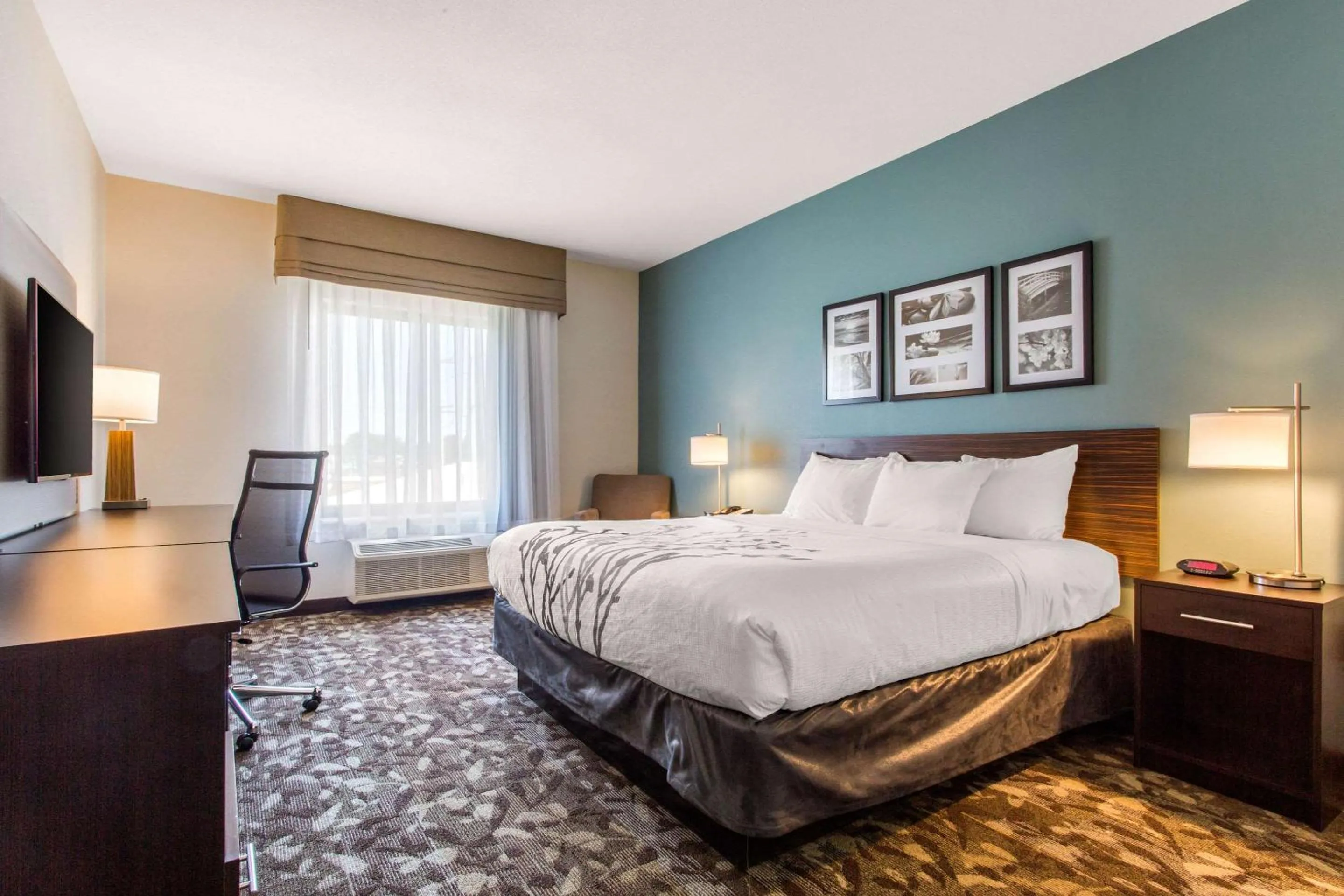 King Room - Non-Smoking in Sleep Inn & Suites Middletown - Goshen