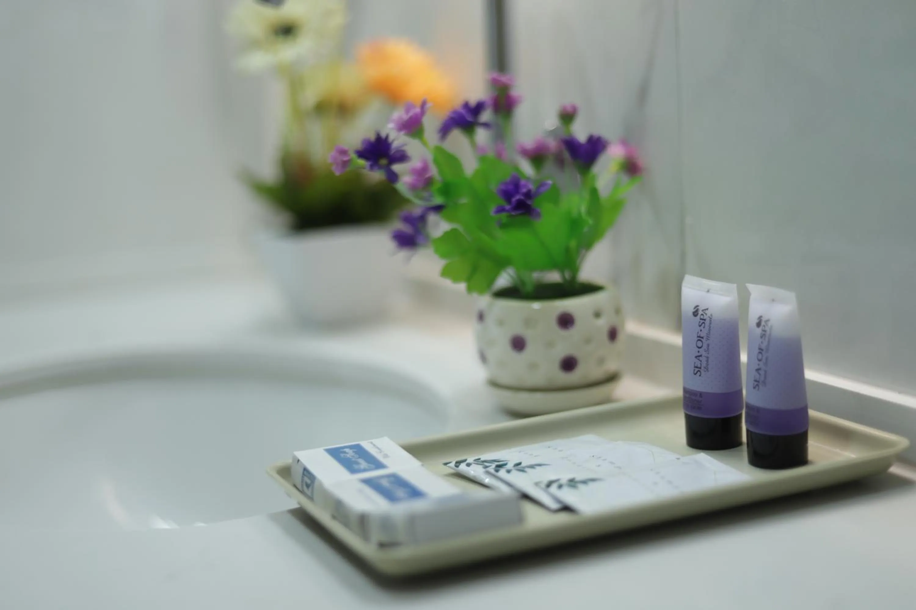 Deluxe Triple Room in Mount of Olives Hotel