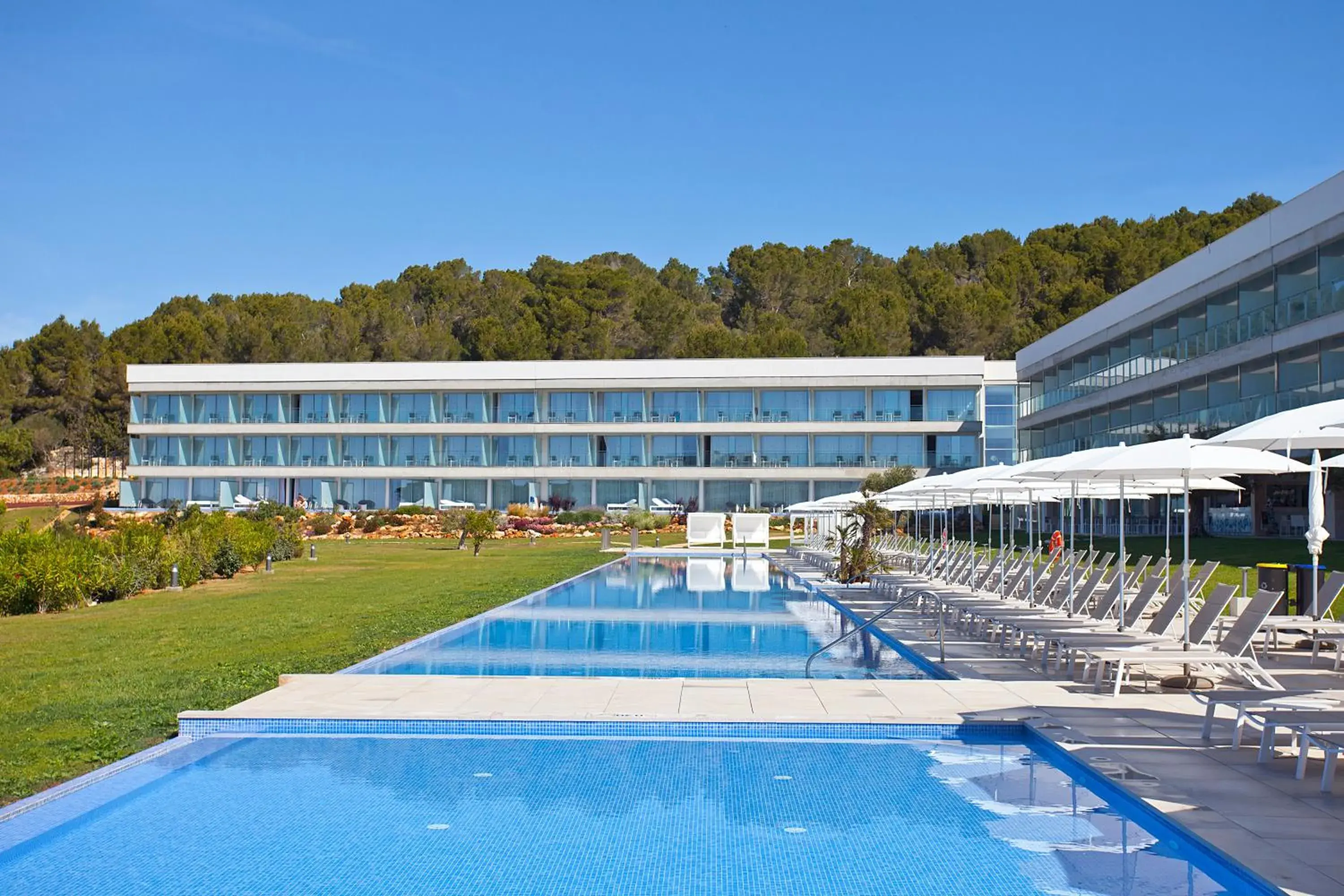 Seth 55 Santo Tomas Seth 55 Santo Tomas