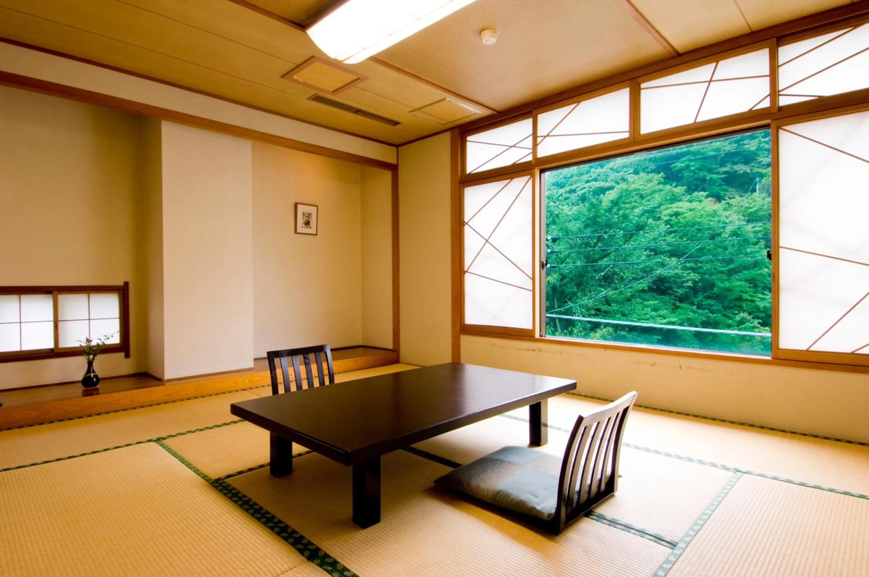 Japanese-Style Room Selected at Check-In - single occupancy - Non Smoking in Ikaho Syusuien