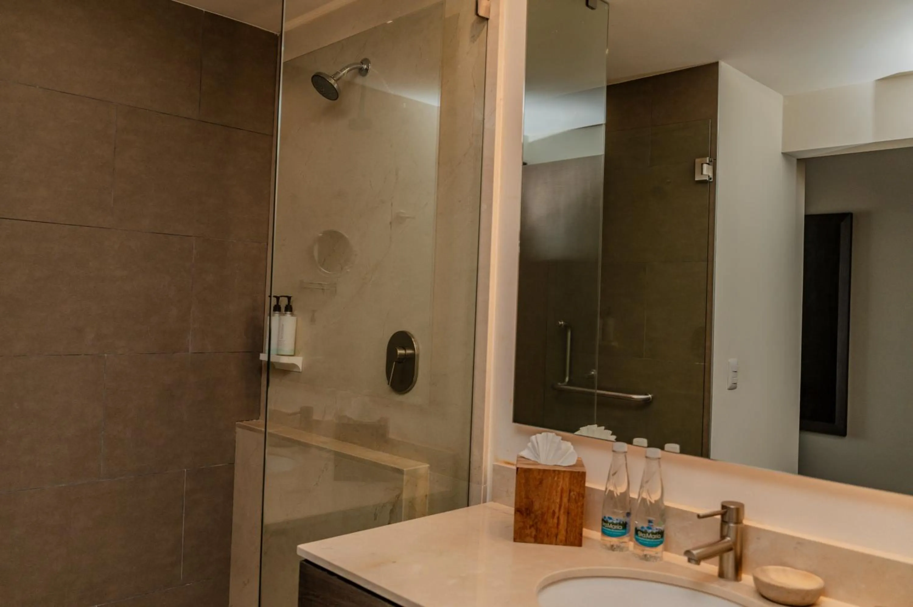 King Room with Roll-In Shower - Mobility Access/Non-Smoking in Hampton Inn By Hilton Celaya