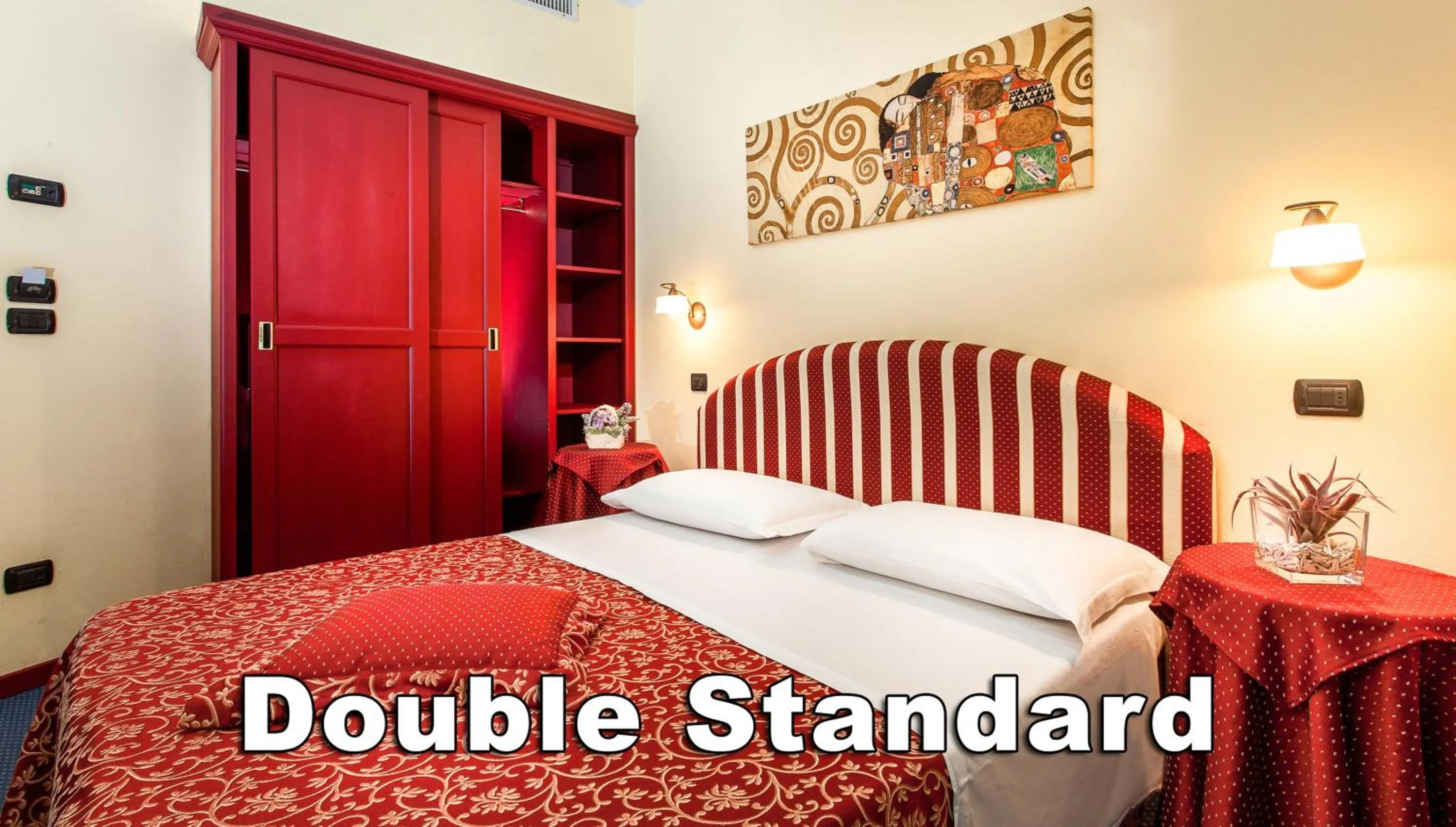 Standard Double Room - single occupancy in Hotel Da Vinci
