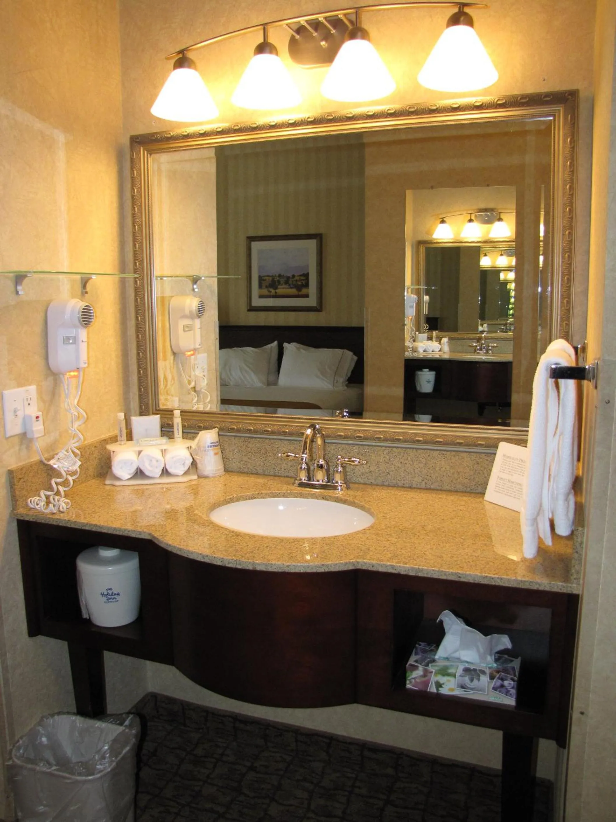 Deluxe King Suite - Non-Smoking in Holiday Inn Express Wenatchee by IHG