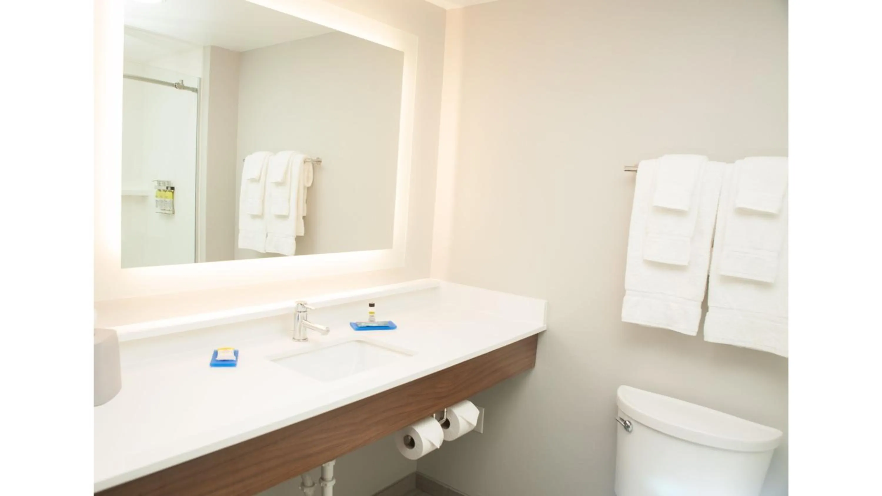 Standard Queen Room with Two Queen Beds and Bath/Shower in Holiday Inn Express Hotel & Suites Norfolk by IHG