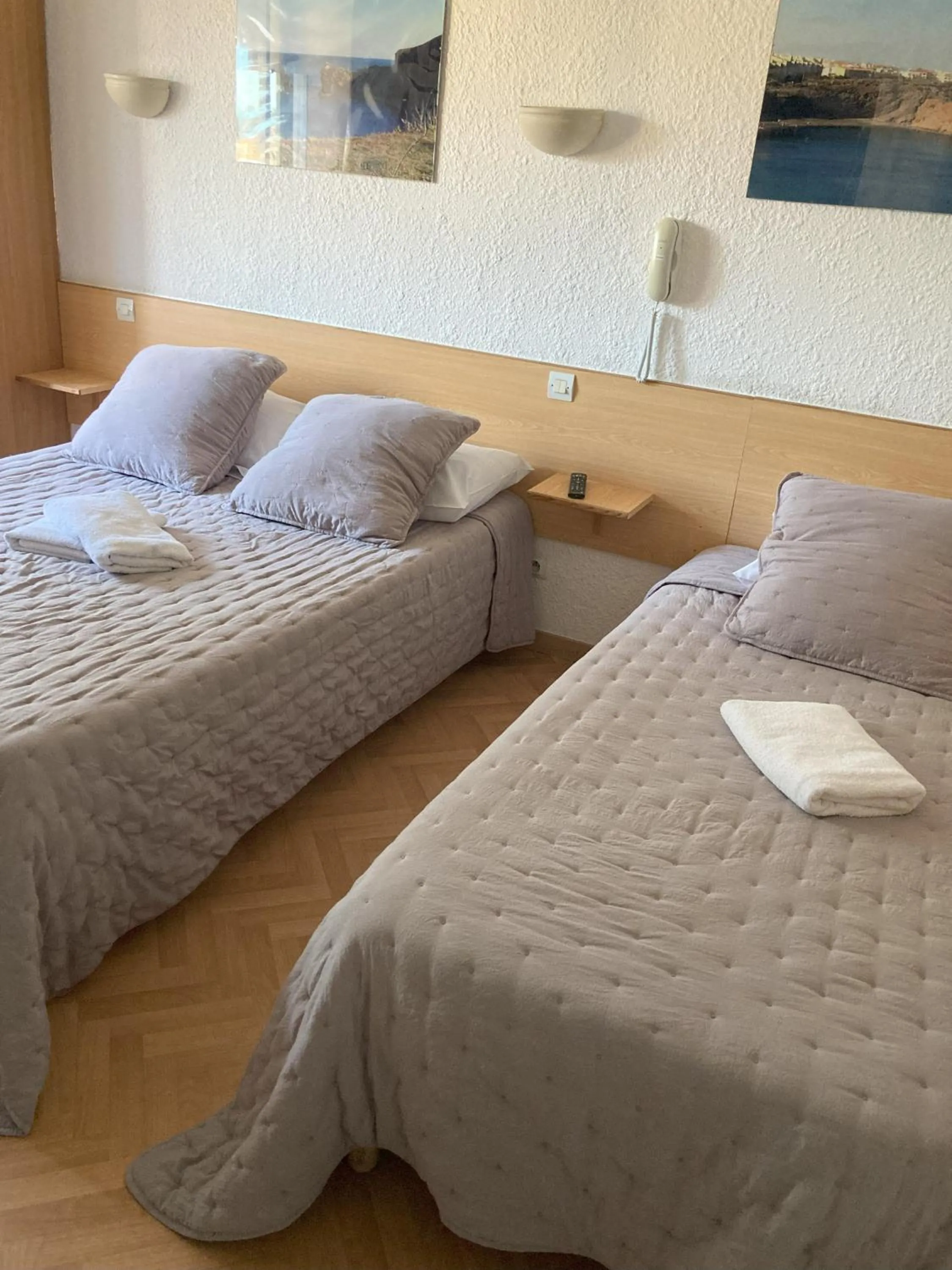 Triple Room (2 Adults + 1 Child) in Hôtel Le Gambetta