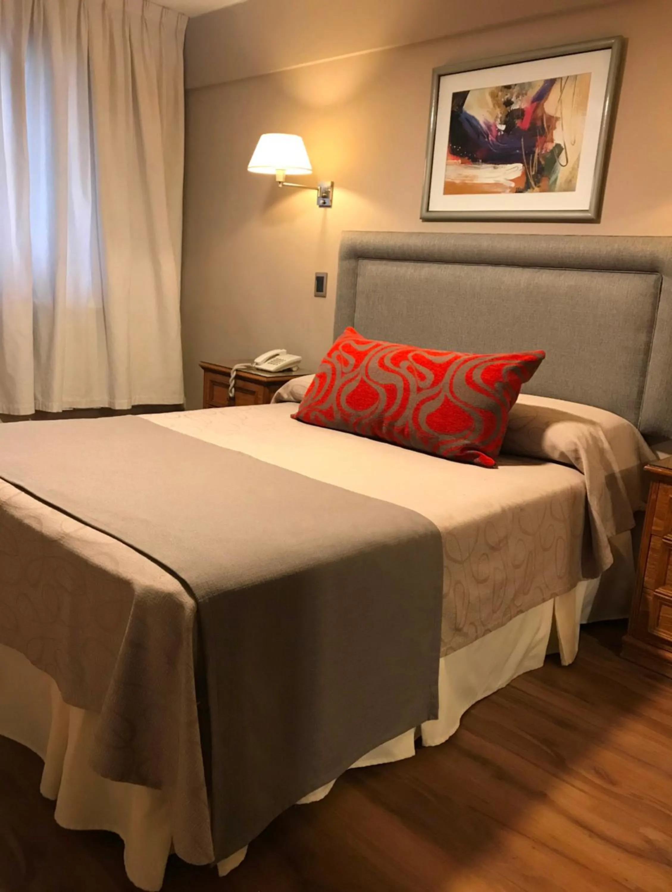 Standard Double Room in Hotel Crillon Mendoza