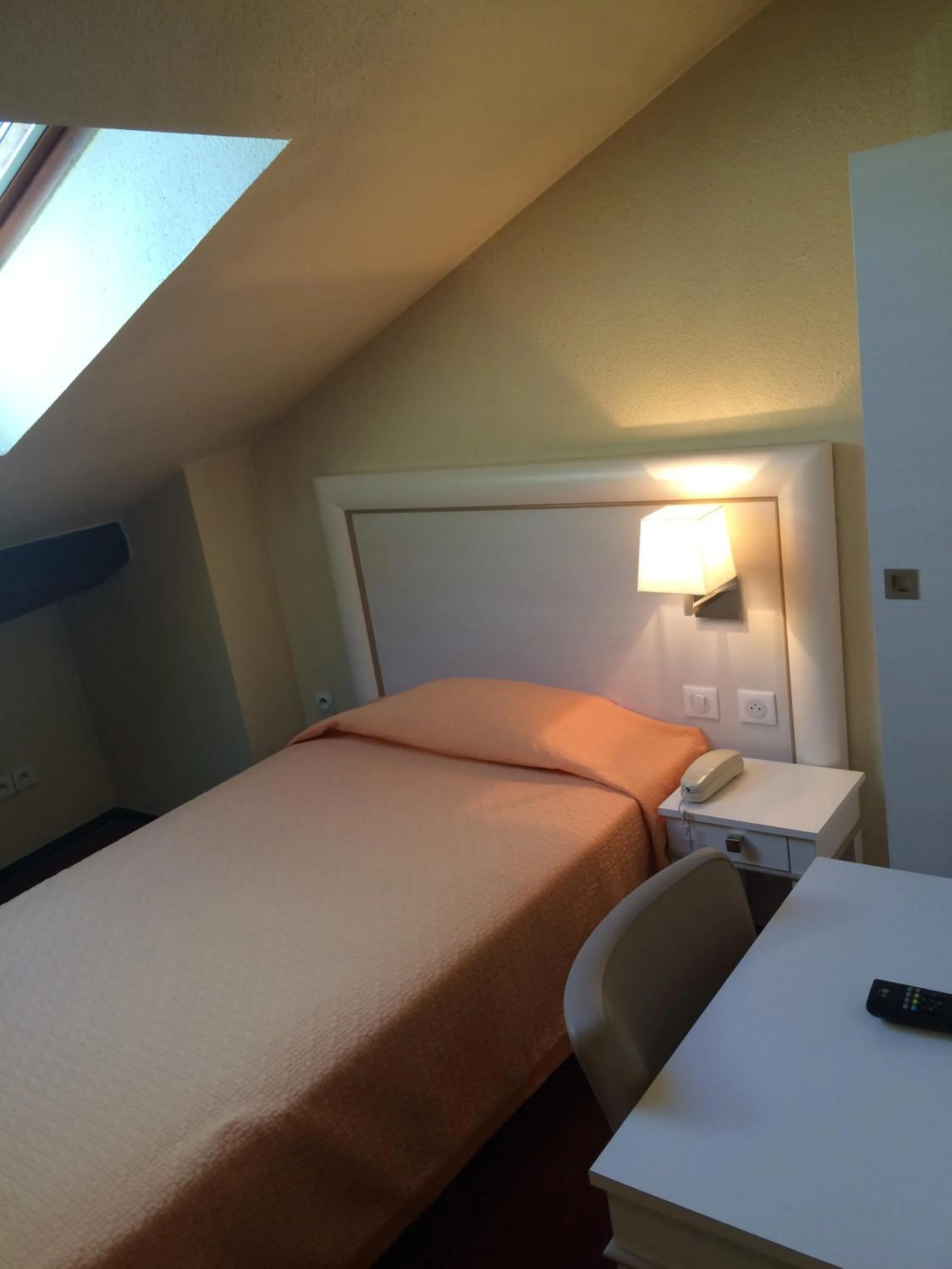 Economy Single Room - single occupancy in Hotel Elysée