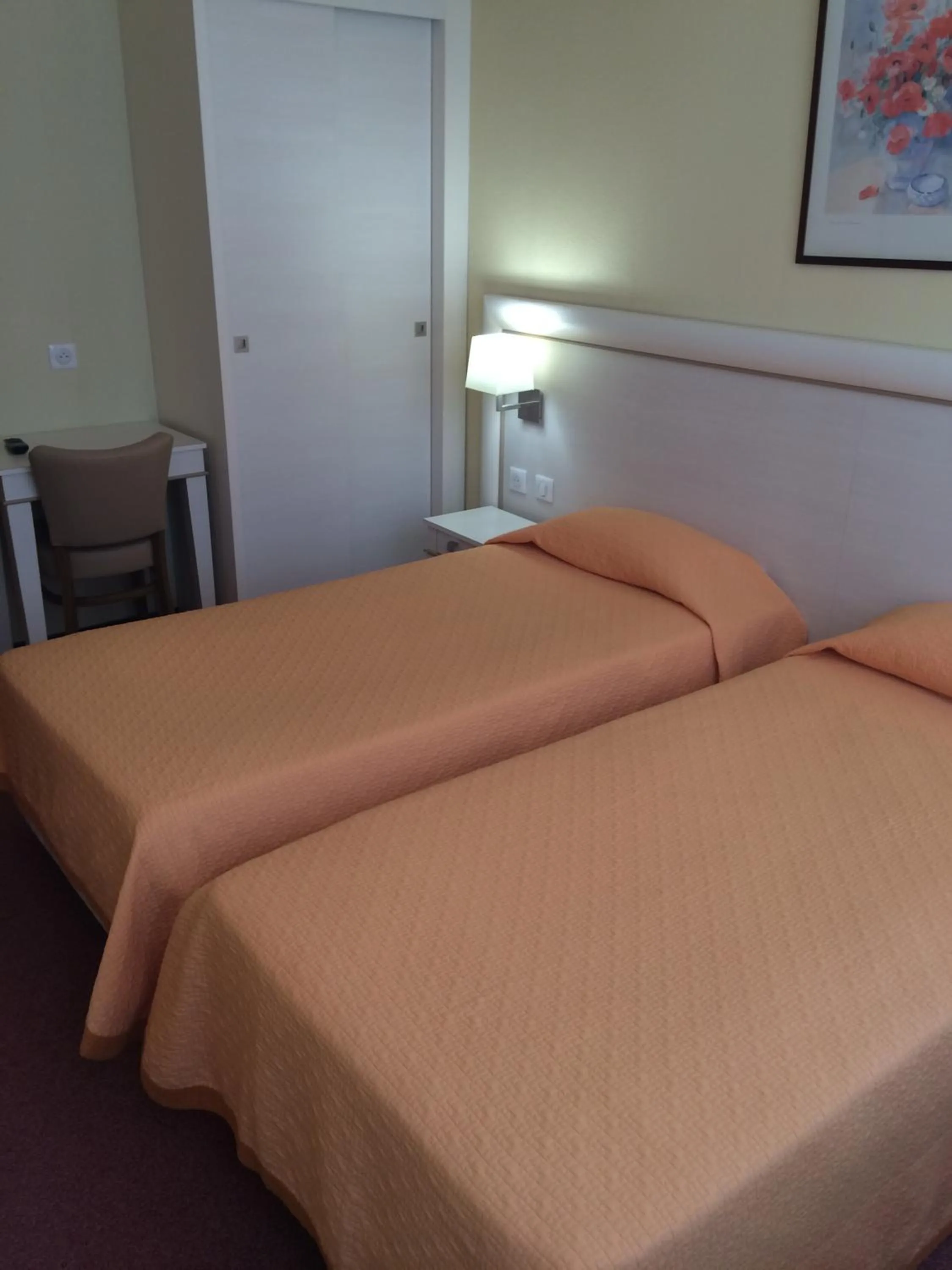 Standard Twin Room in Hotel Elysée