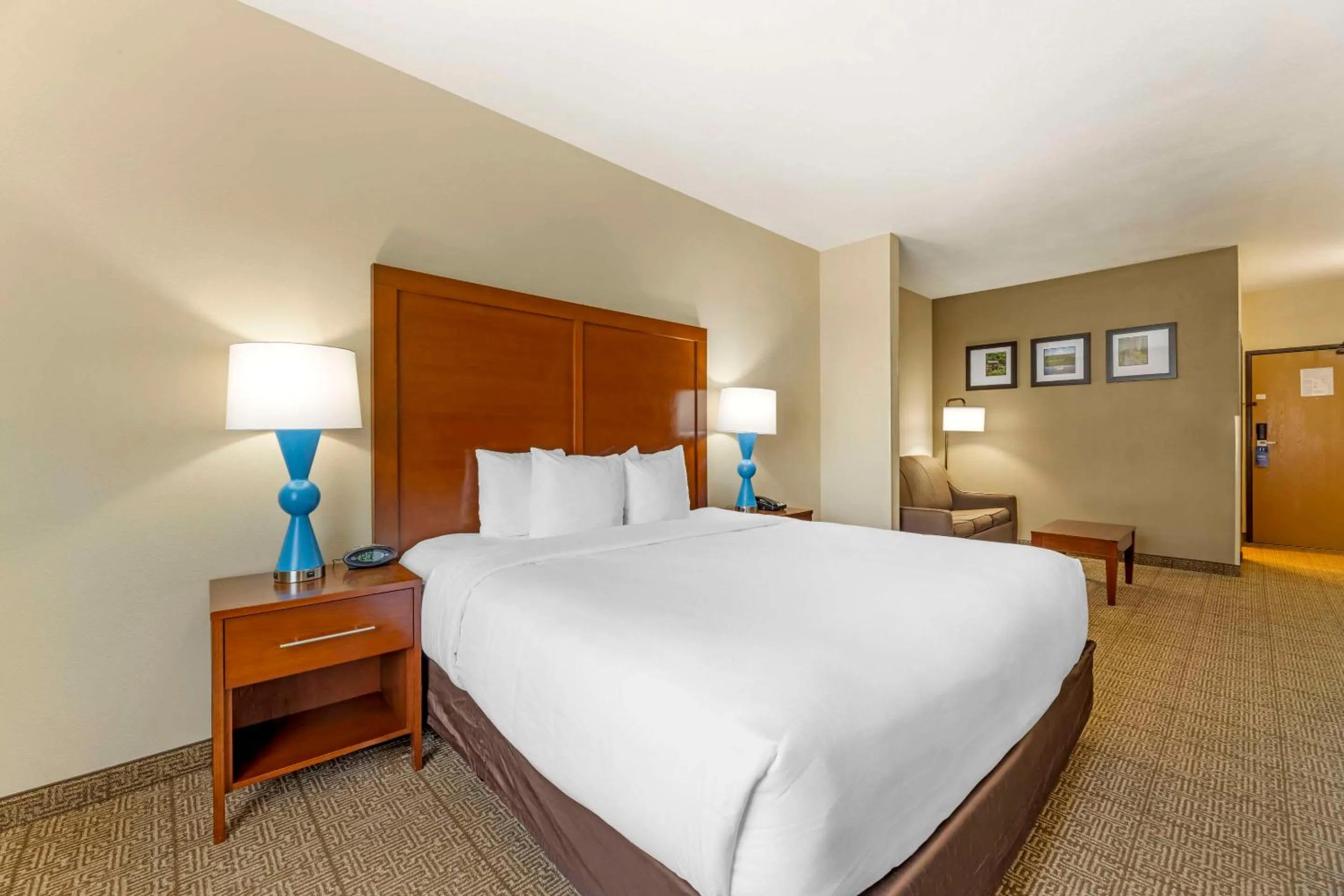 Standard King Room in Comfort Suites Near Vancouver Mall