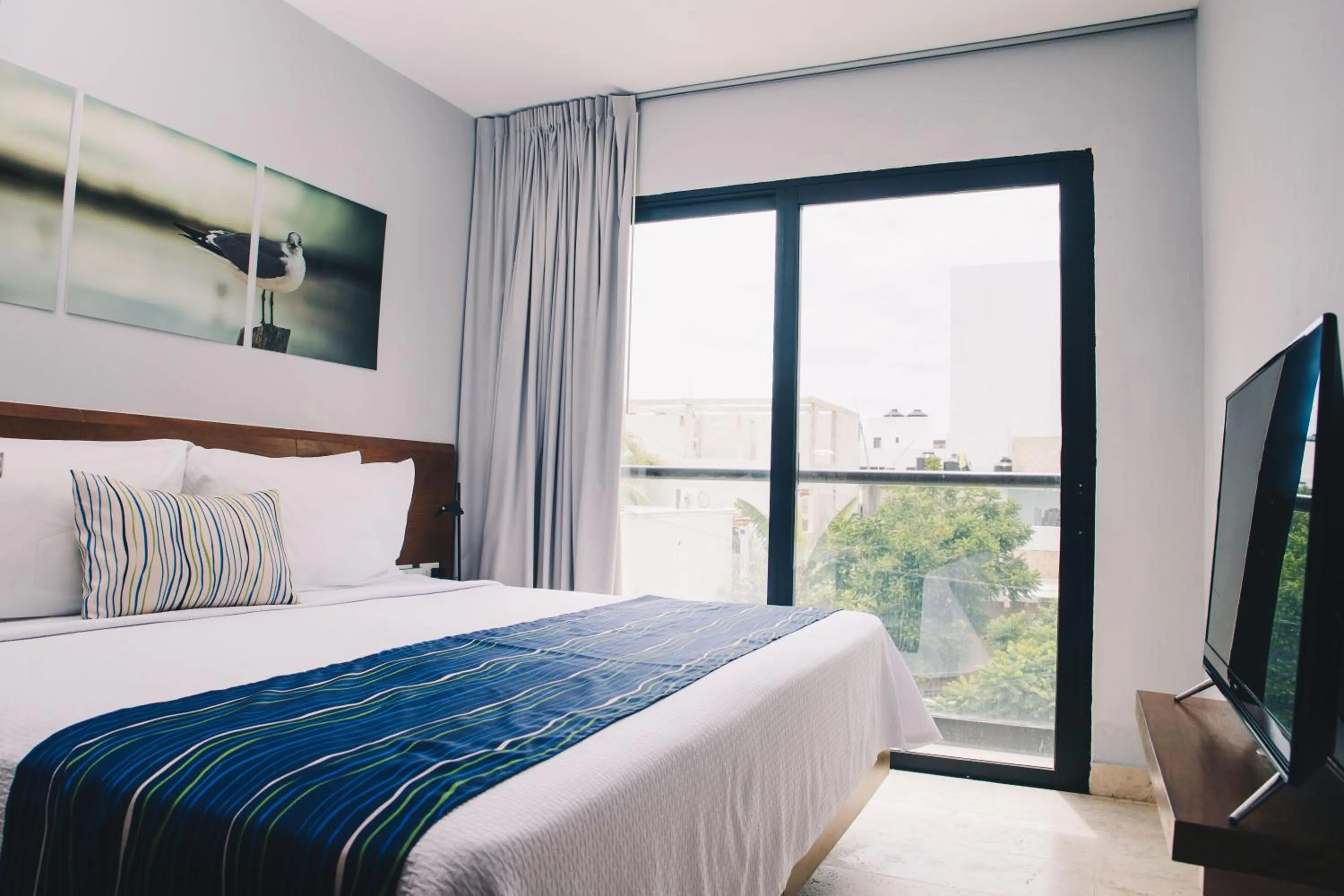 Junior Suite in Hotelito del Mar Playa del Carmen