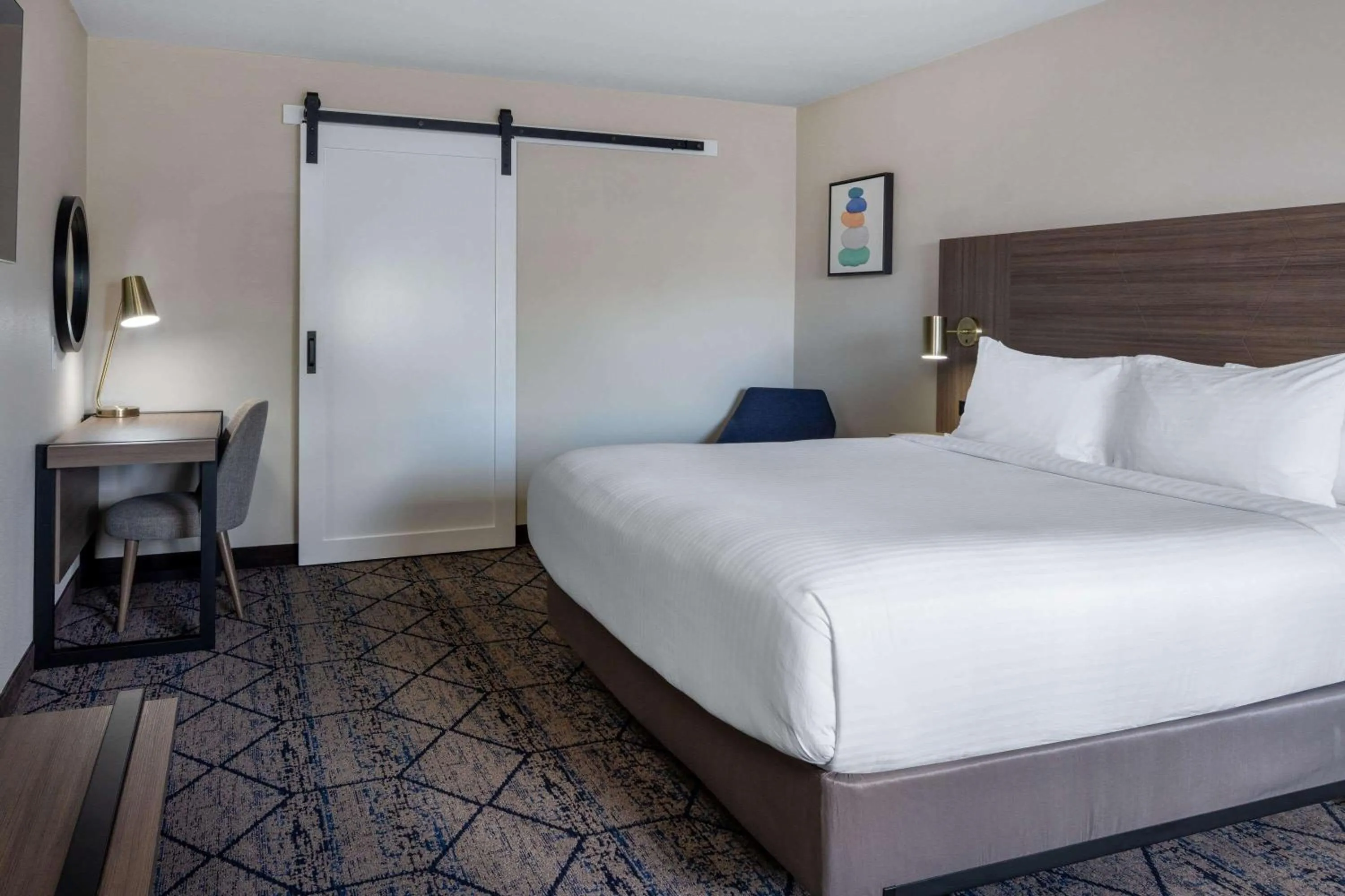 1 King Bed, Mobility Accessible Room, Bathtub w/Grab Bars, Non-Smoking in Ramada by Wyndham Modesto Yosemite Area