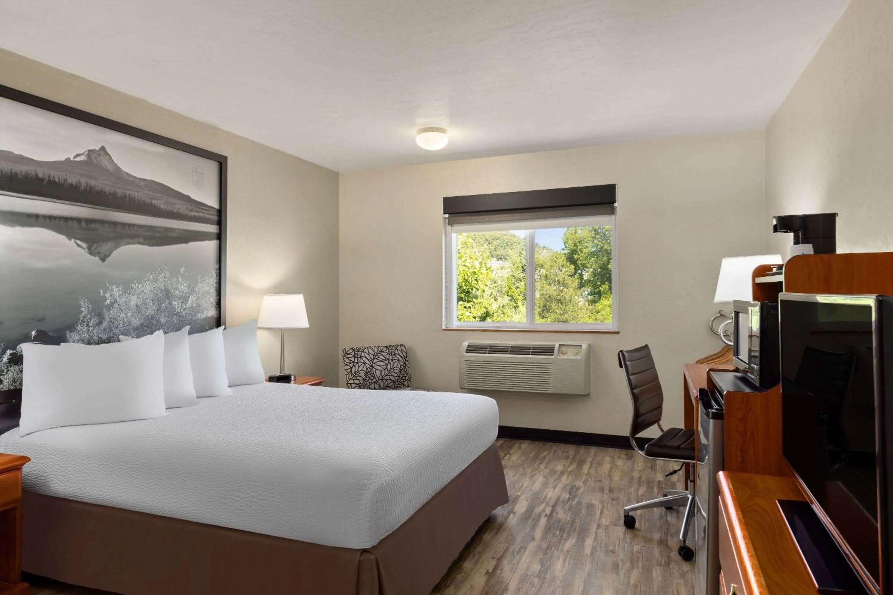 Queen Room - Disability Access - Non-Smoking in Super 8 by Wyndham Roseburg