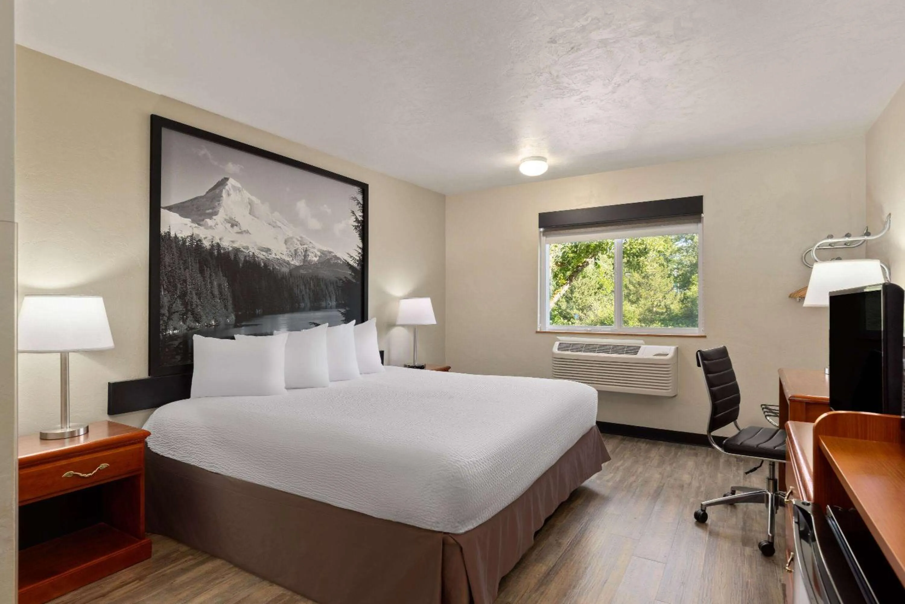 King Room - Disability Access - Non-Smoking in Super 8 by Wyndham Roseburg